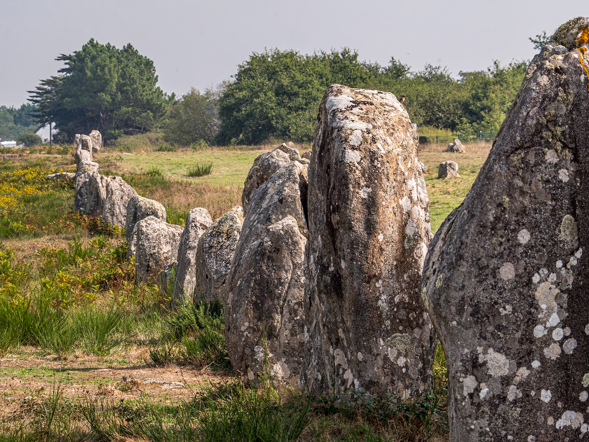 Alignments de Carnac, France, 13 Sep 2022
