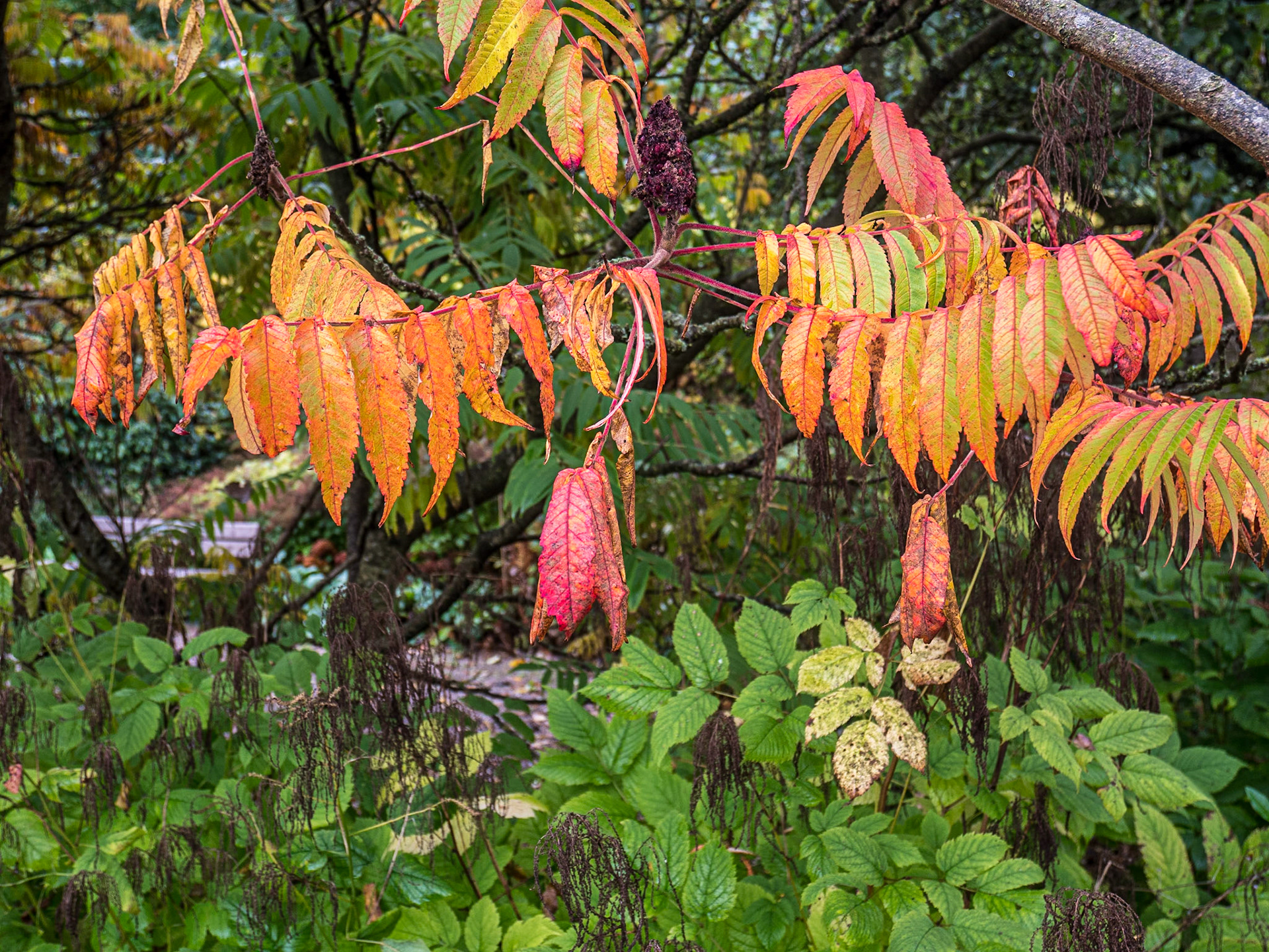 Norton Priory Museum &amp; Gardens, Cheshire, 14 Oct 2022