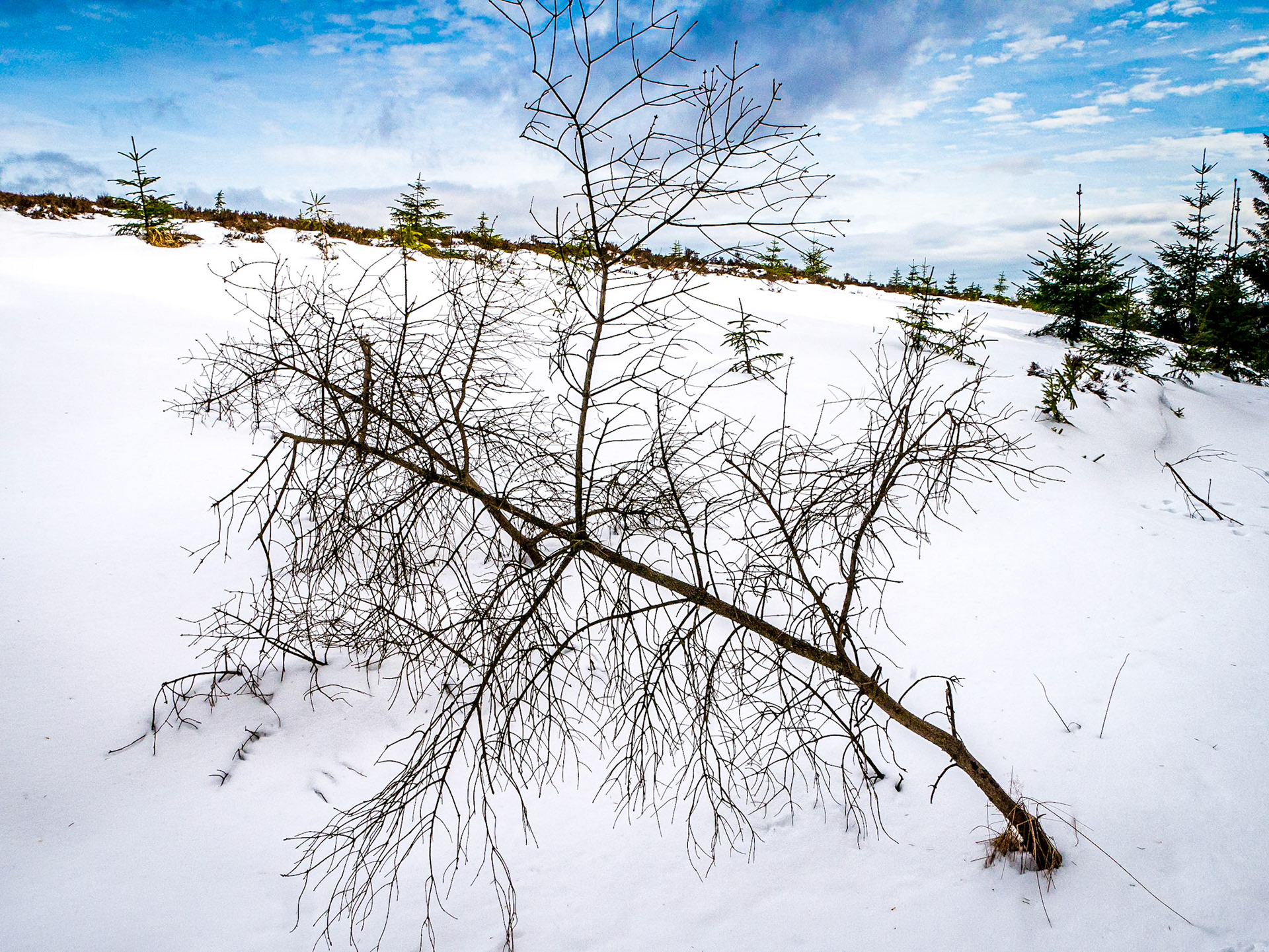Oldboley walk, near Glencree, Co Wicklow, 21 Mar 2018