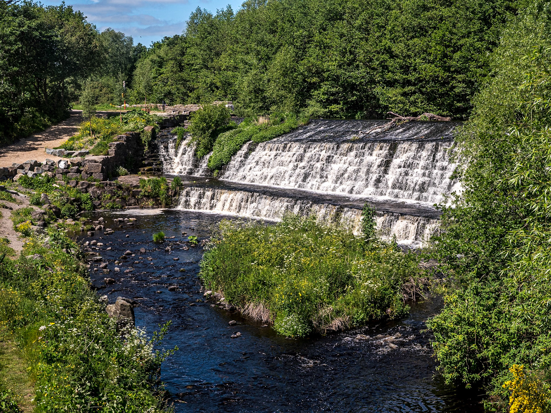 Balrothery Weir, Dublin, 27 May 2022