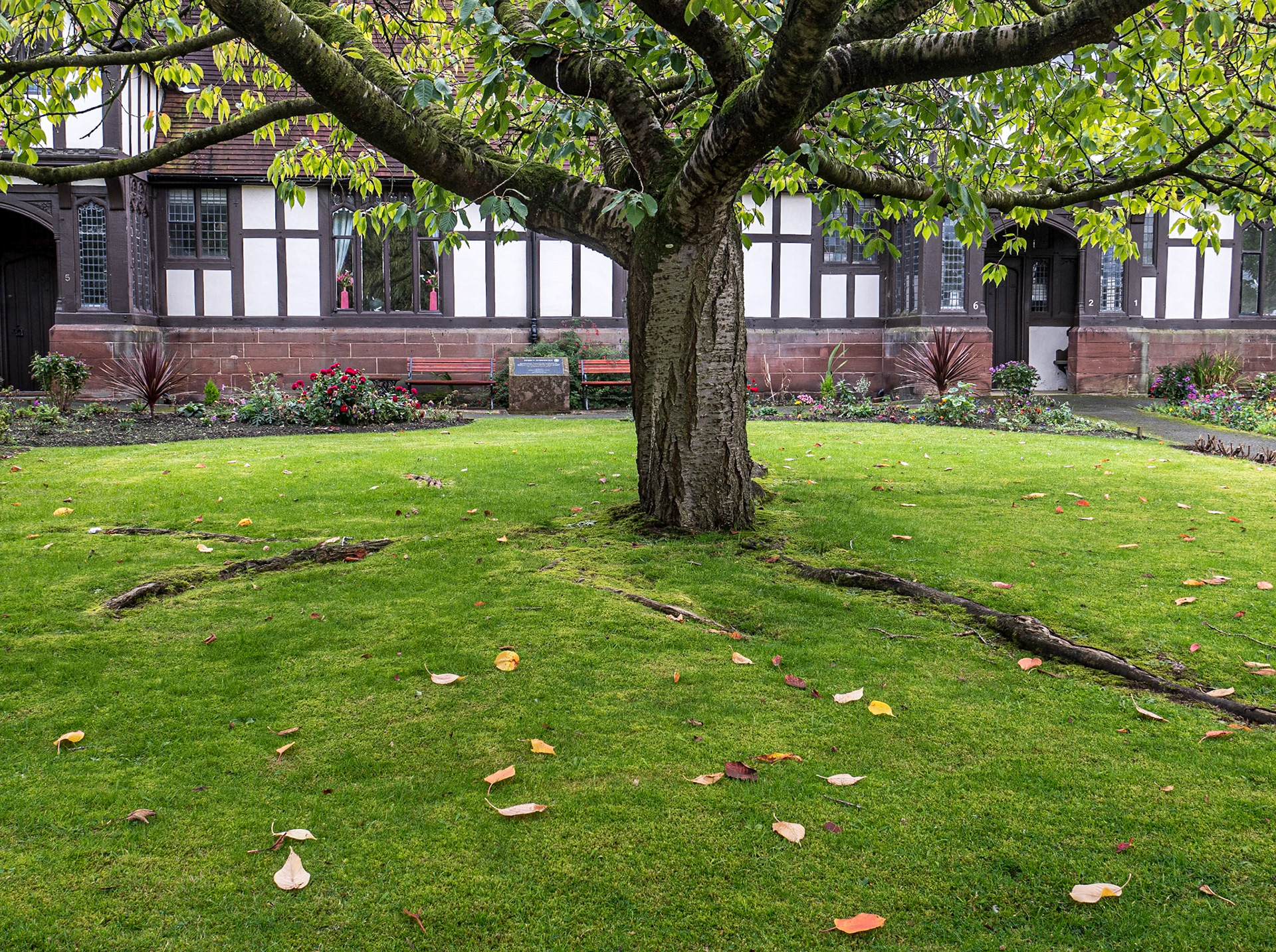 Little Heath Road, Christleton, Cheshire, 14 Oct 2022