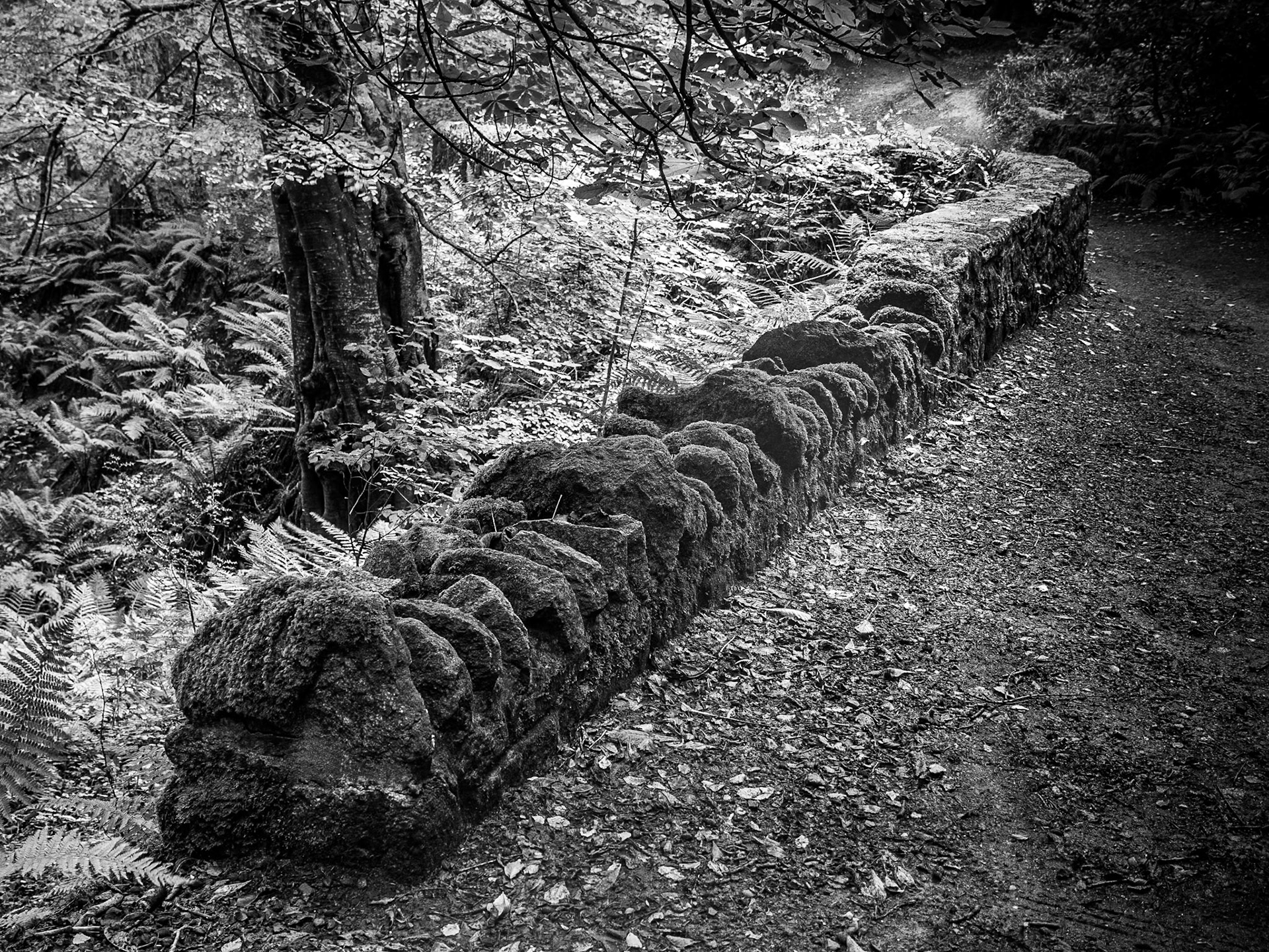 Massys-Cruagh walk, 23 Sep 2015