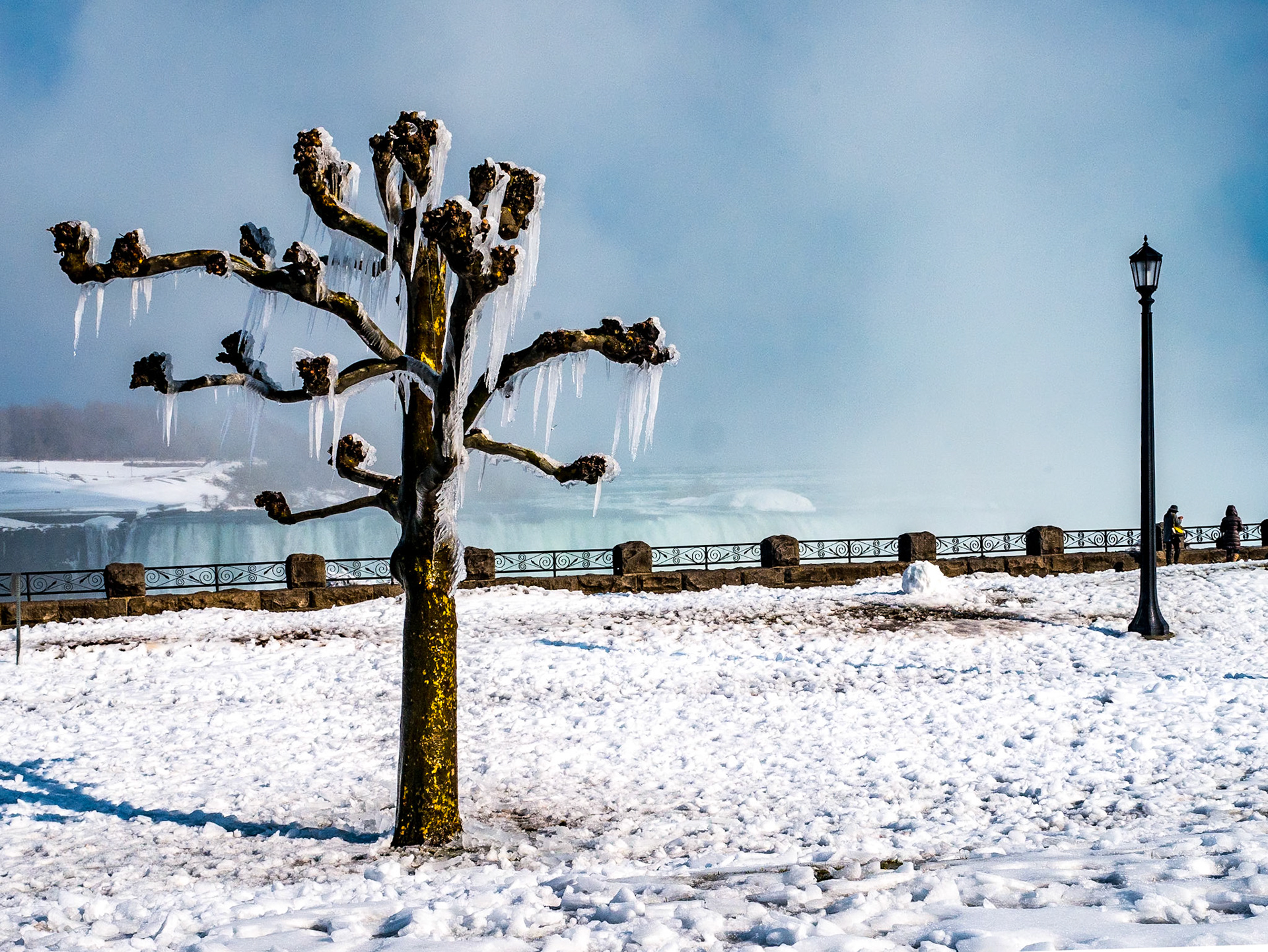 Trees with icicles, Niagara Falls, 7 Mar 2018