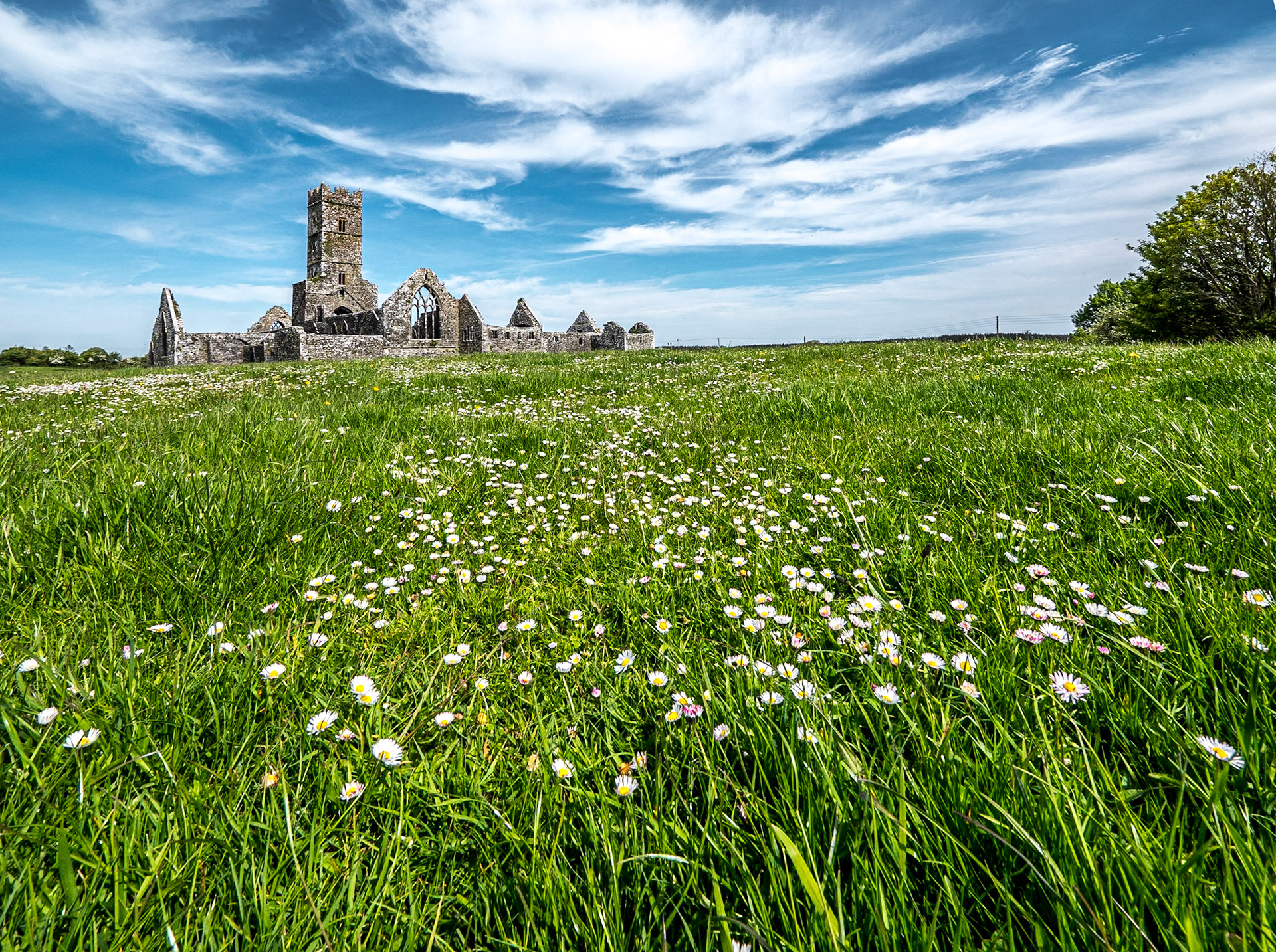 Kilconnell Franciscan Friary, Co Galway, 14 May 2019