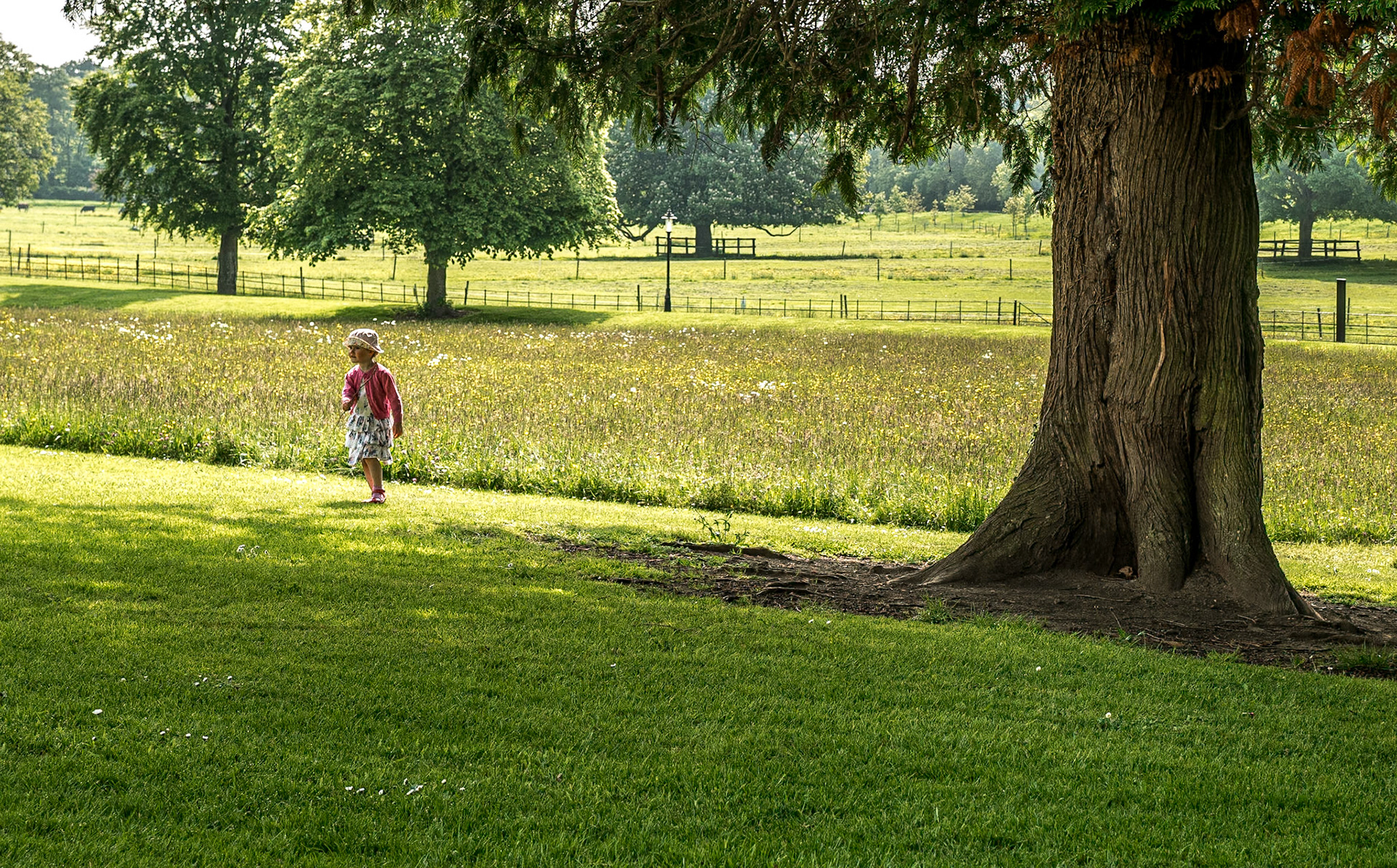 Farmleigh, Dublin, 29 May 2016