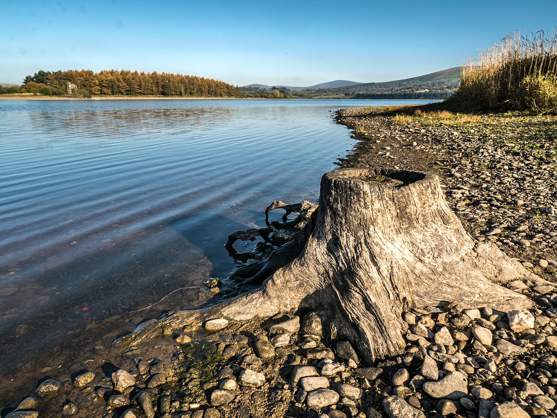 Blessington Lakes, Co Wicklow, 1 Nov 2015