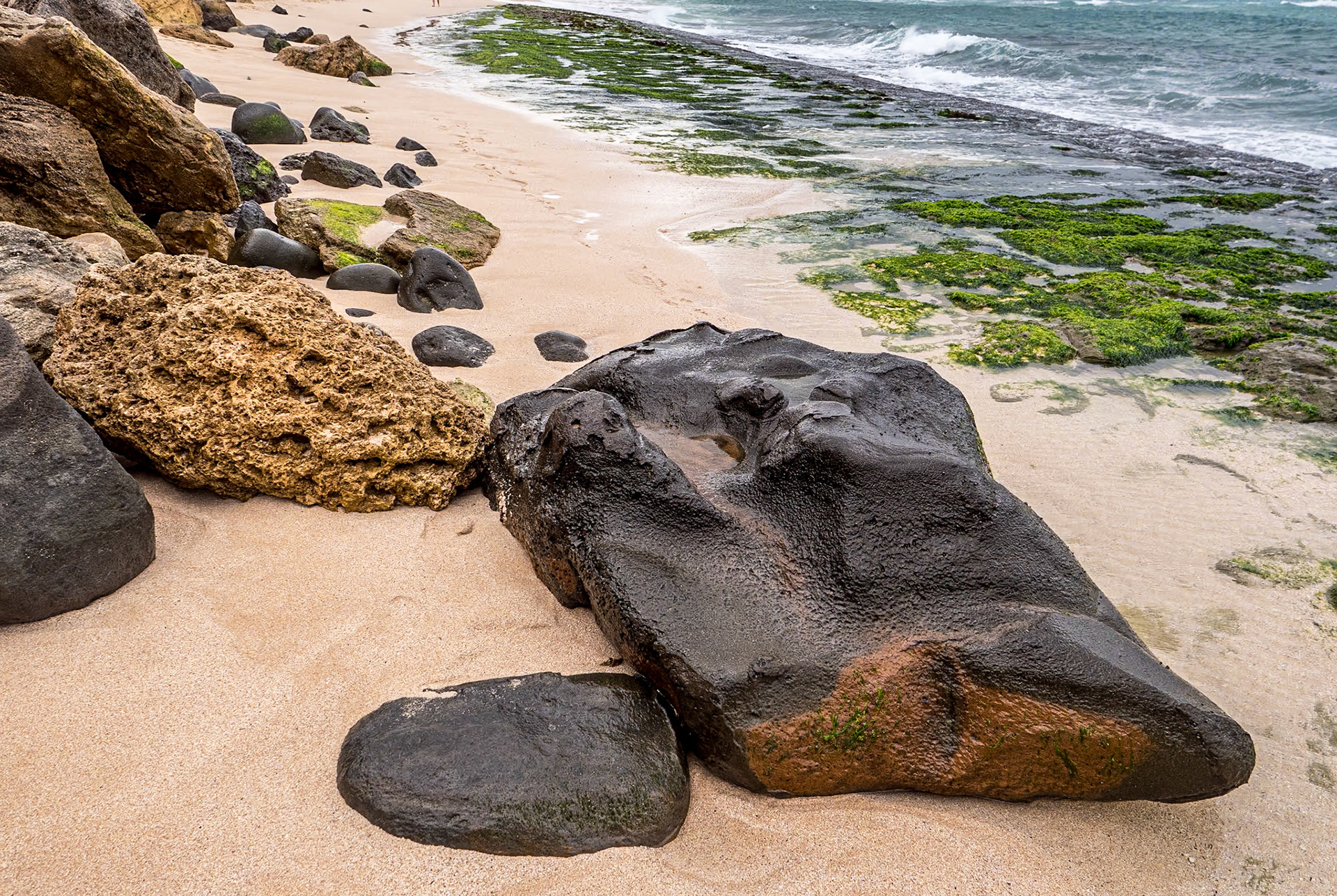 Laniakea Beach, O'ahu, Hawaii, 29 Jan 2024