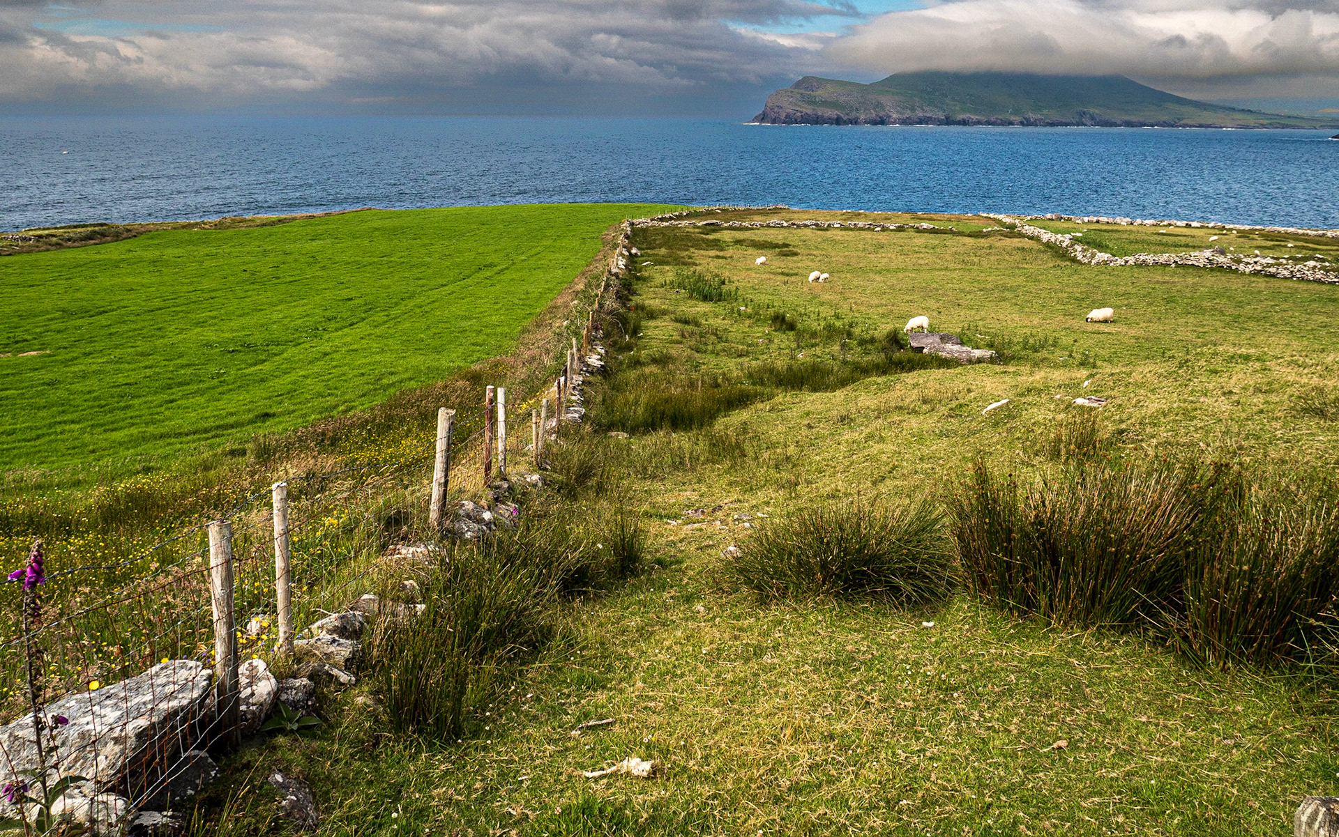 Valentia Island, 12 Jul 2021