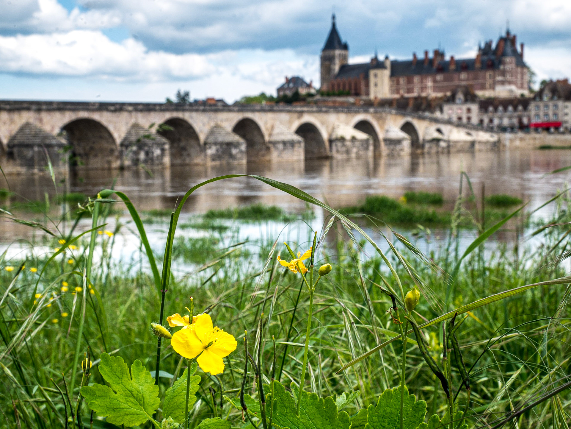 Bridge over the Loire at Gien, 16 May 2016