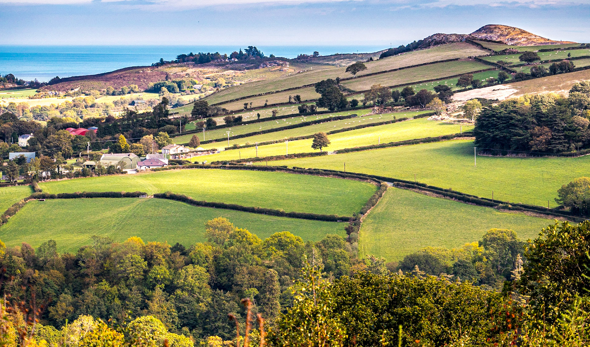 Crone Wood walk, Co Wicklow, 26 Sep 2018