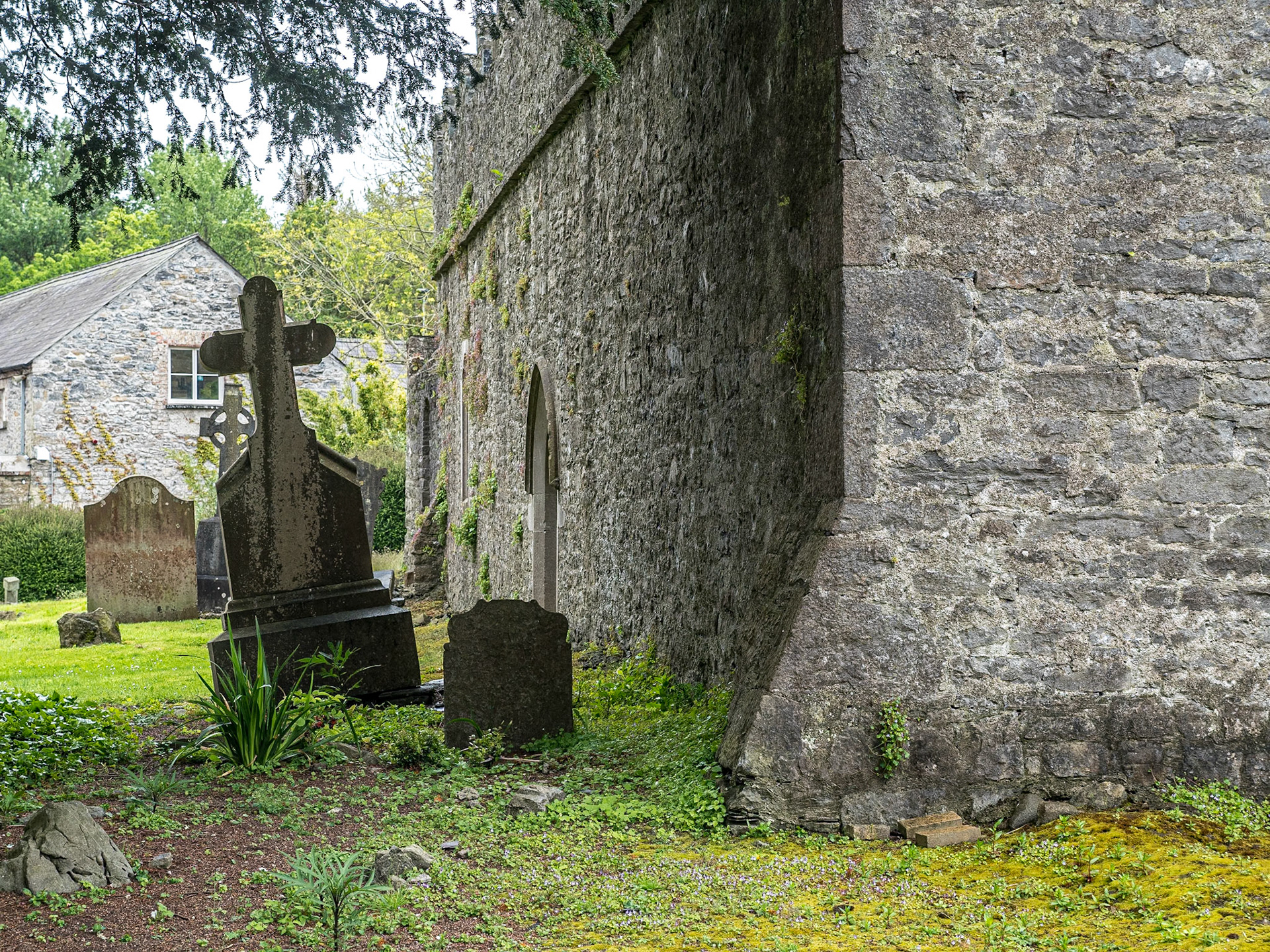 Malahide Abbey, Co Dublin, 9 May 2019