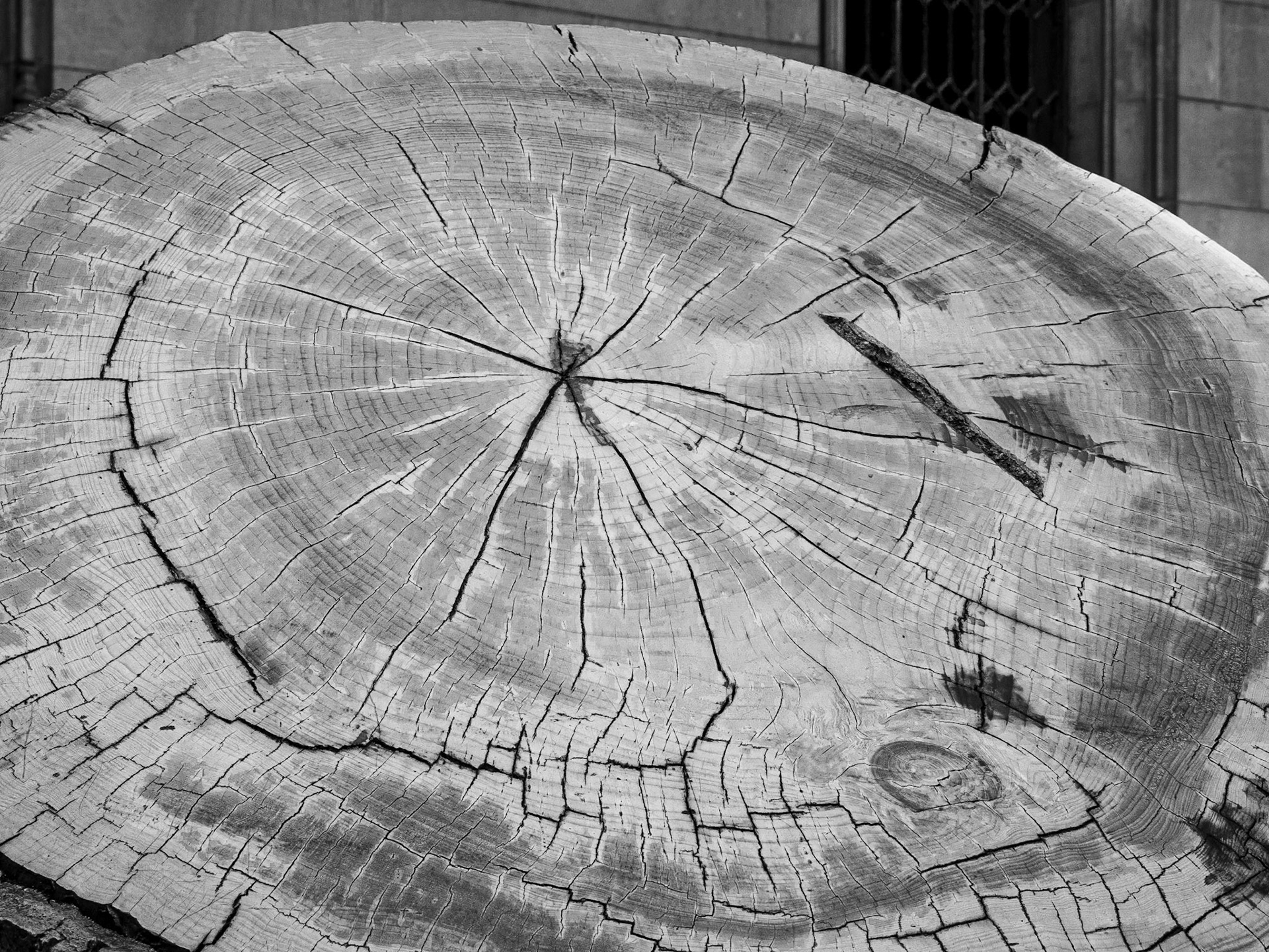 Grounds of University of Barcelona, 28 Jun 2016