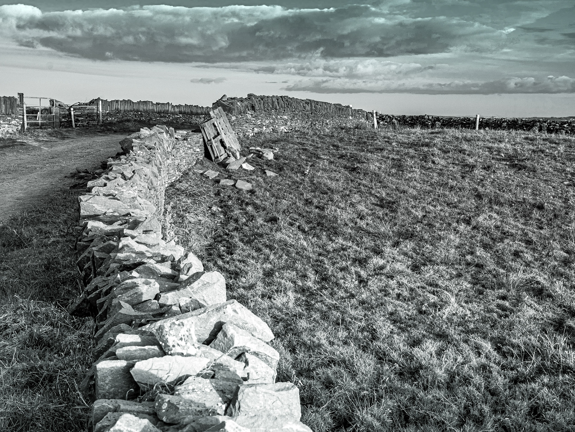 Near the Cliffs of Moher, Co Clare, 12 Oct 2015