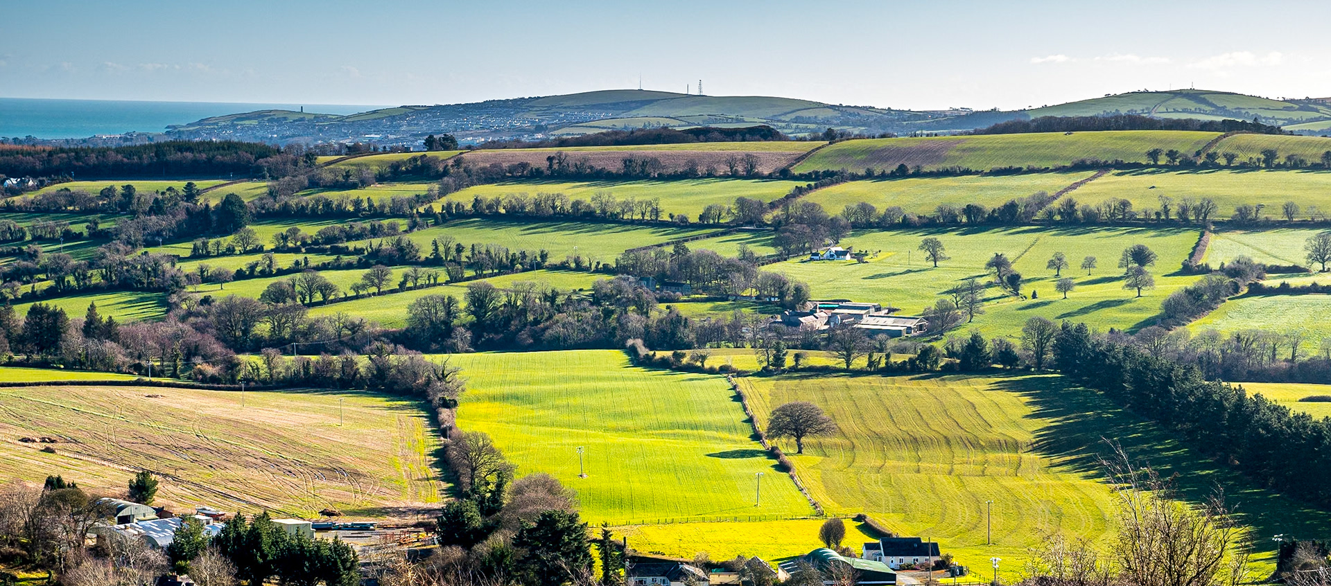 Devil's Glen, Co Wicklow, 9 Feb 2018