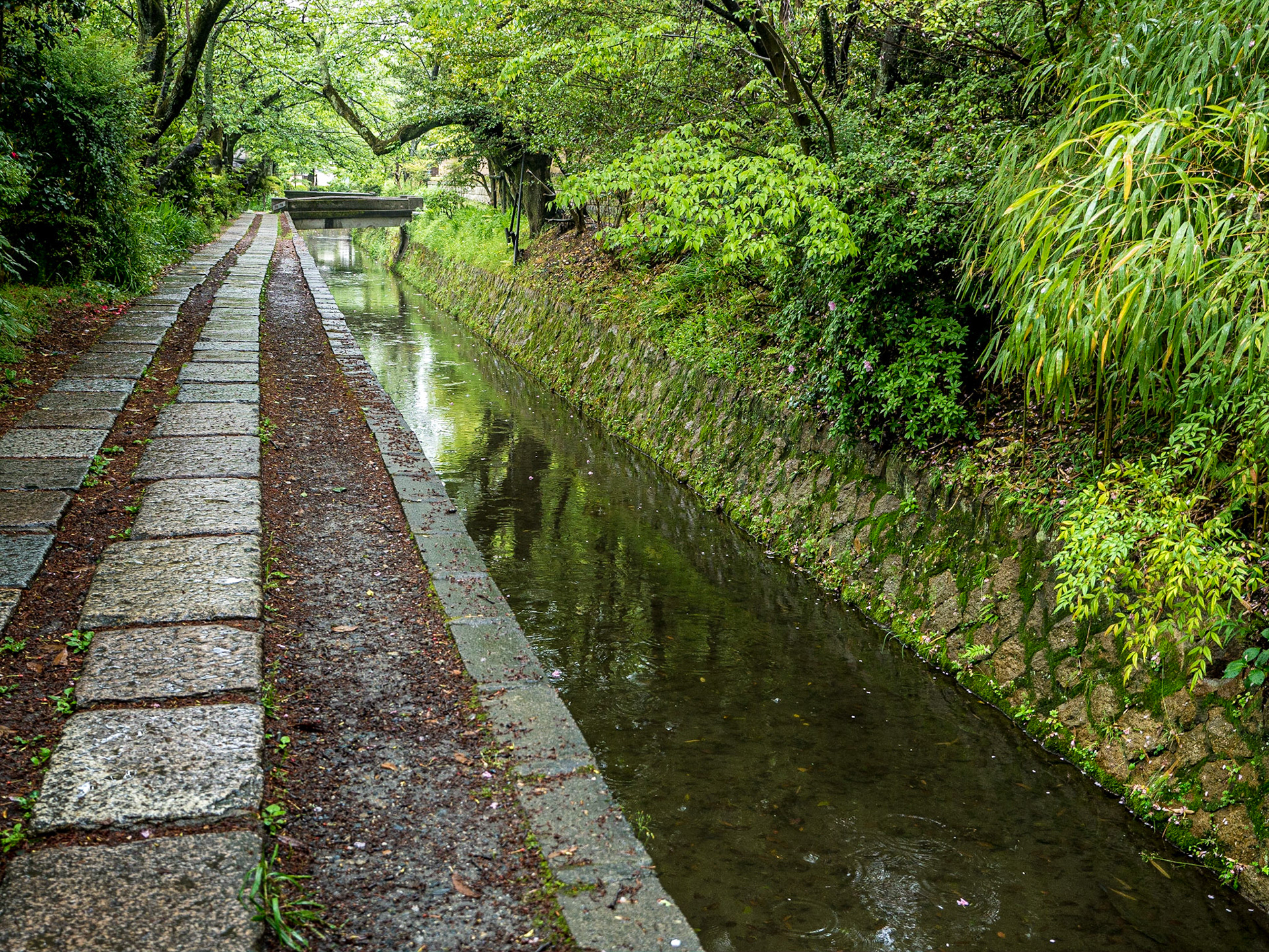 Philosopher's Walk, Kyoto, 28 Apr 2016
