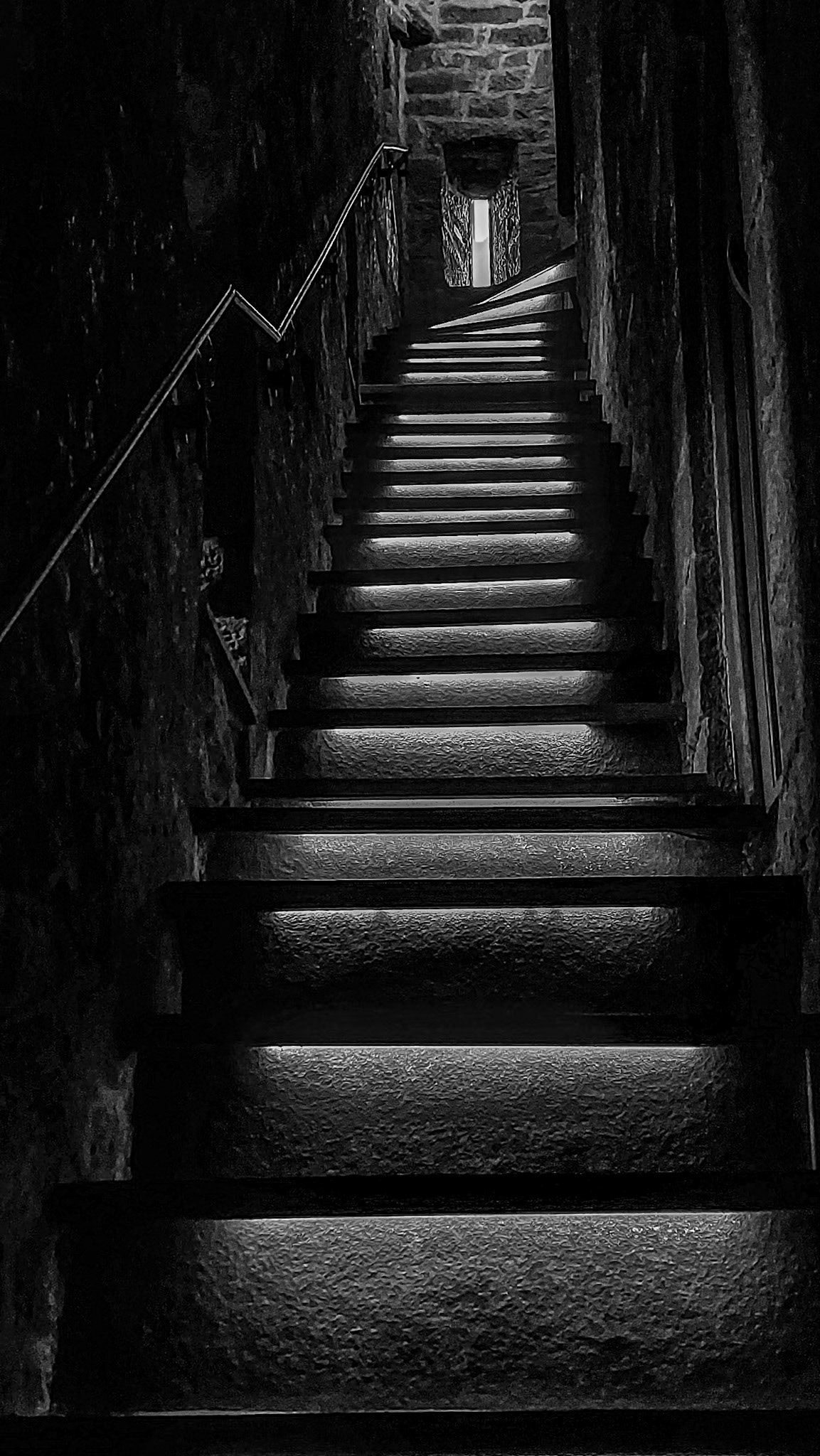 Springfield Castle, Co Limerick, 17 Dec 2022