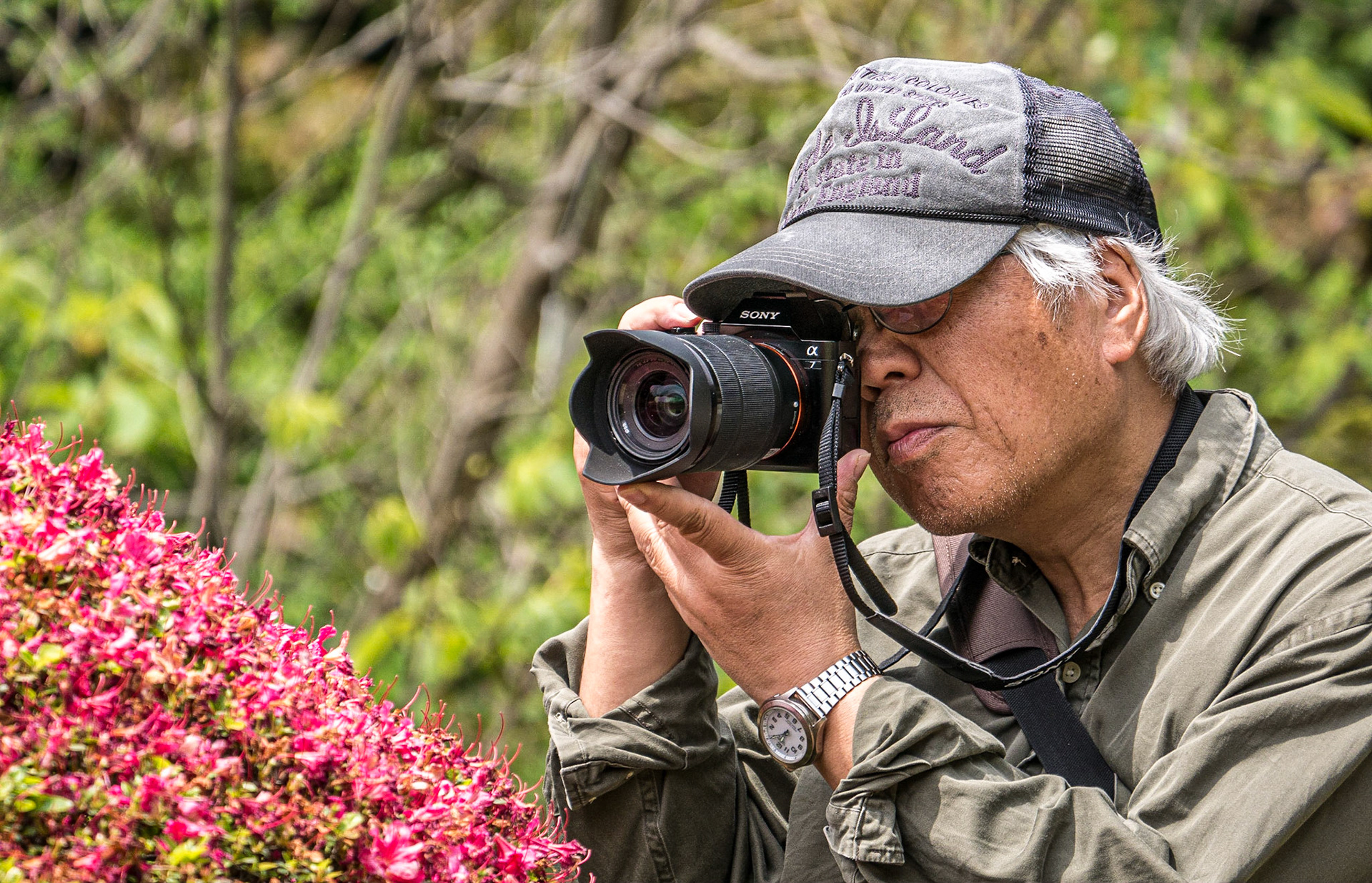 Azalea Hill, Shinjuku Gyoen National Garden, Tokyo, 3 May 2016