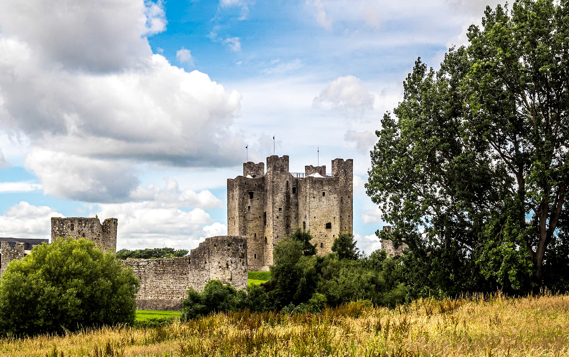 Trim Castle, Co Meath, 19 Jul 2020