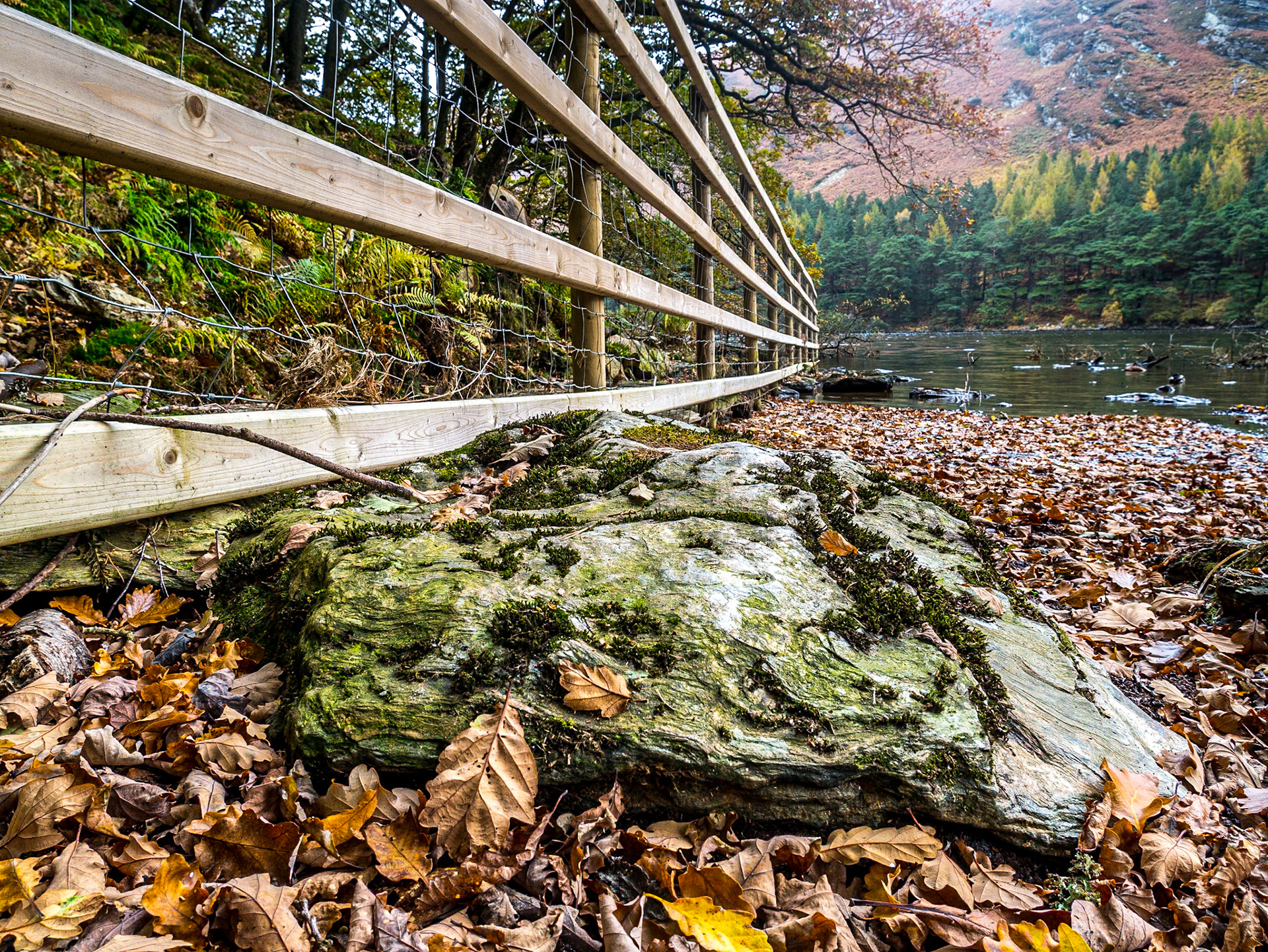 Upper Lake, Glendalough, 28 Oct 2016