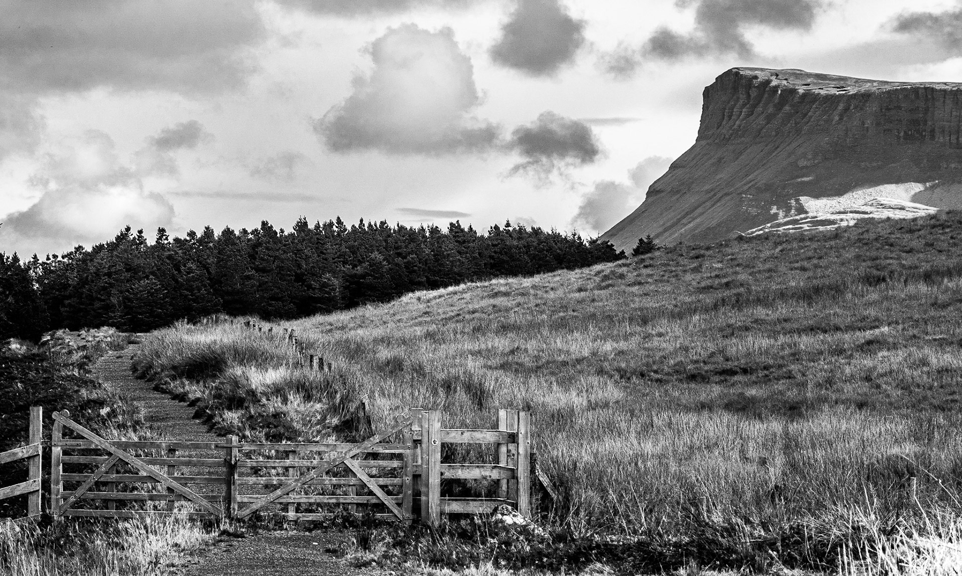 Gortarowey walk, Sligo, 10 Oct 2014