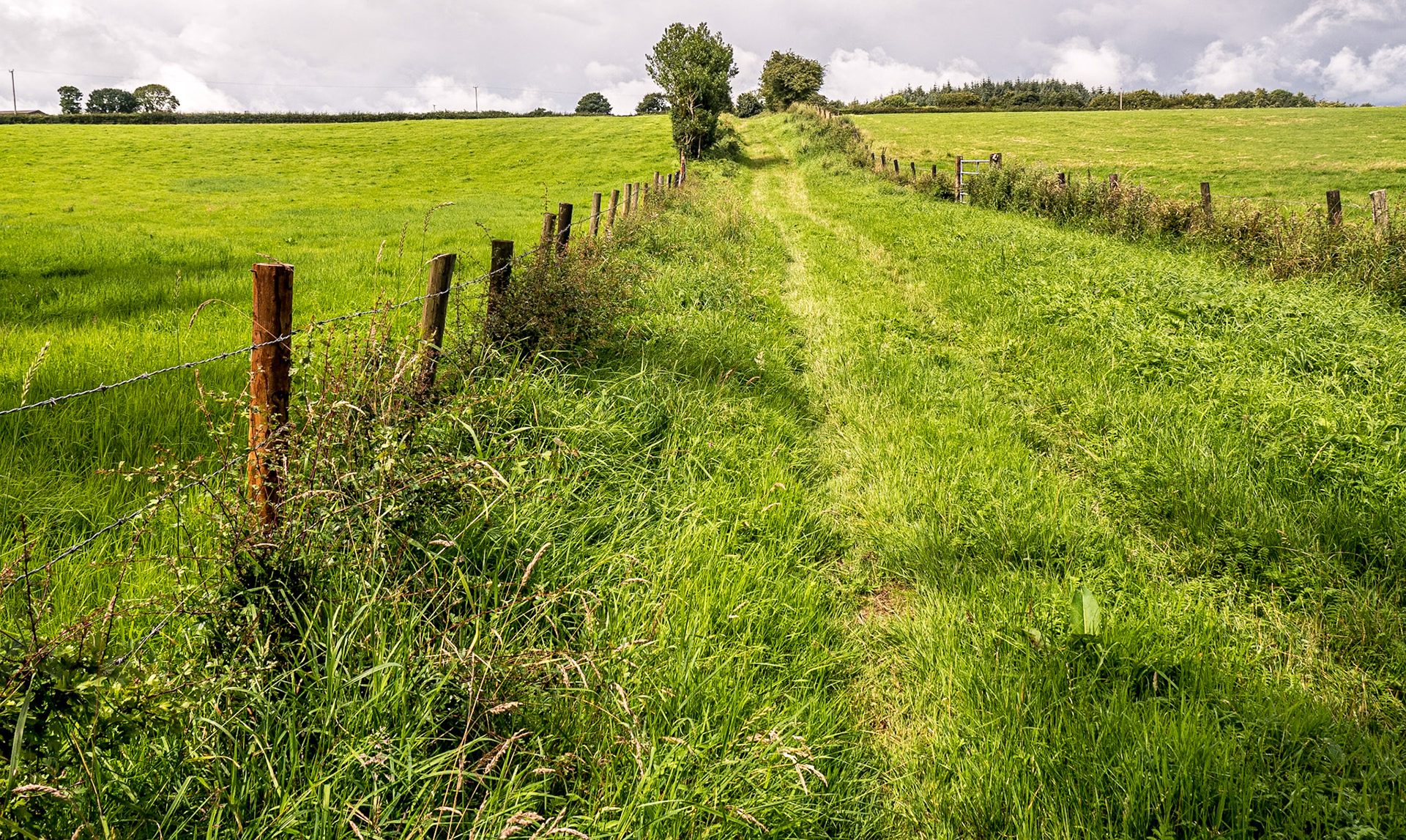 Brittas Loop walk, Clonsalee, Co Laois, 4 Aug 2016