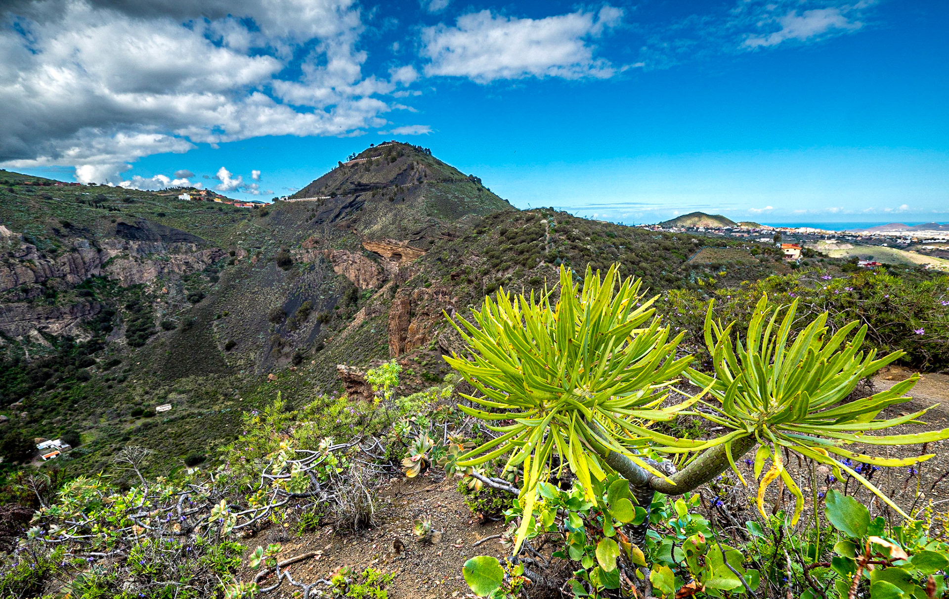 Caldera de Bandama walk, Gran Canaria, 24 Jan 2020