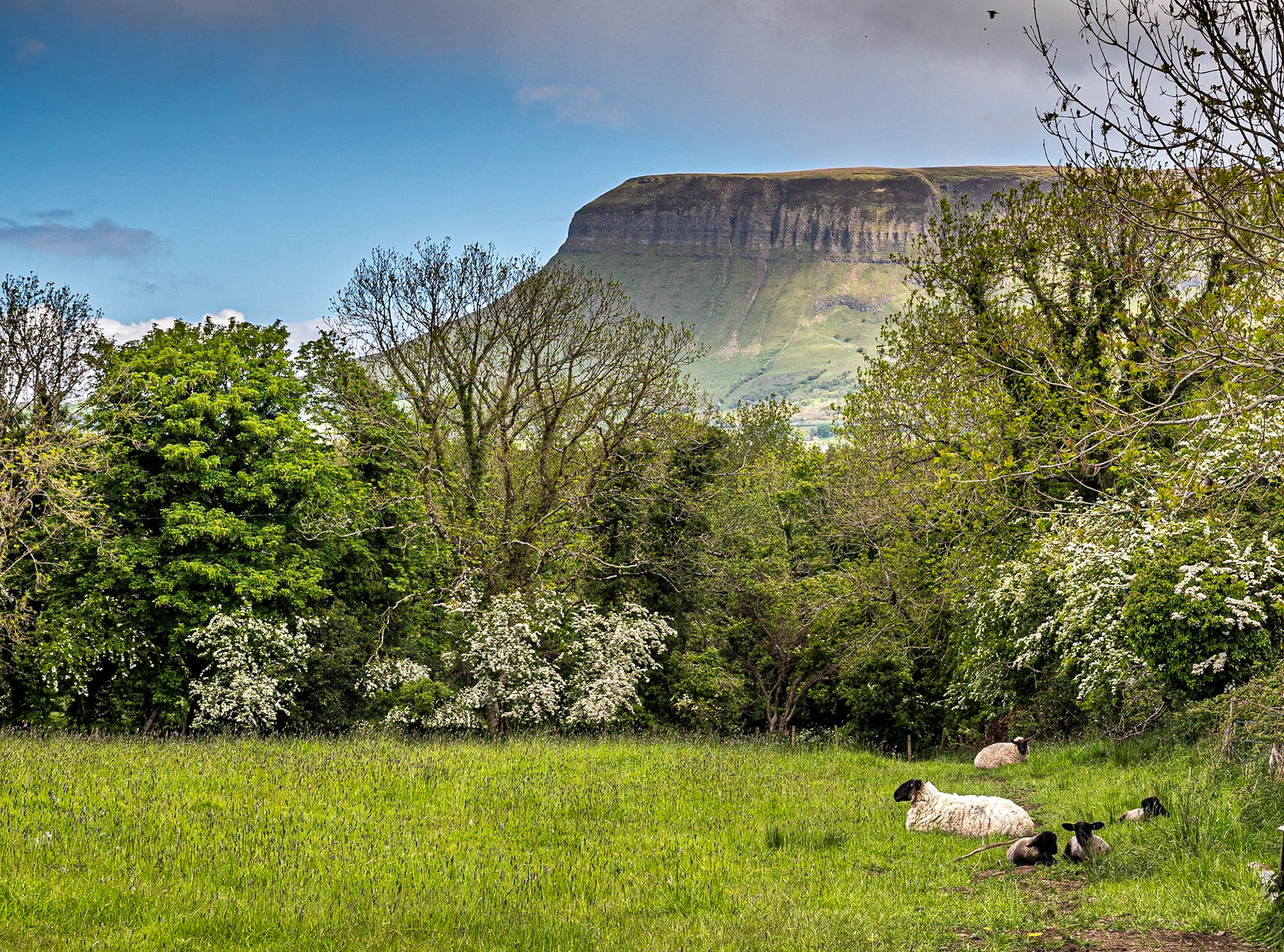 Drumcliff, Co Sligo, 19 May 2021