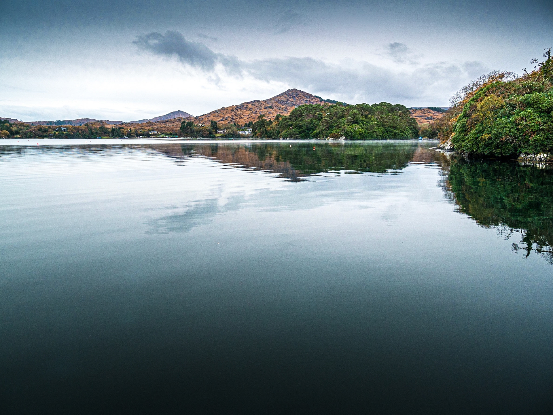Glengarriff Harbour, Co Cork, 19 Nov 2016