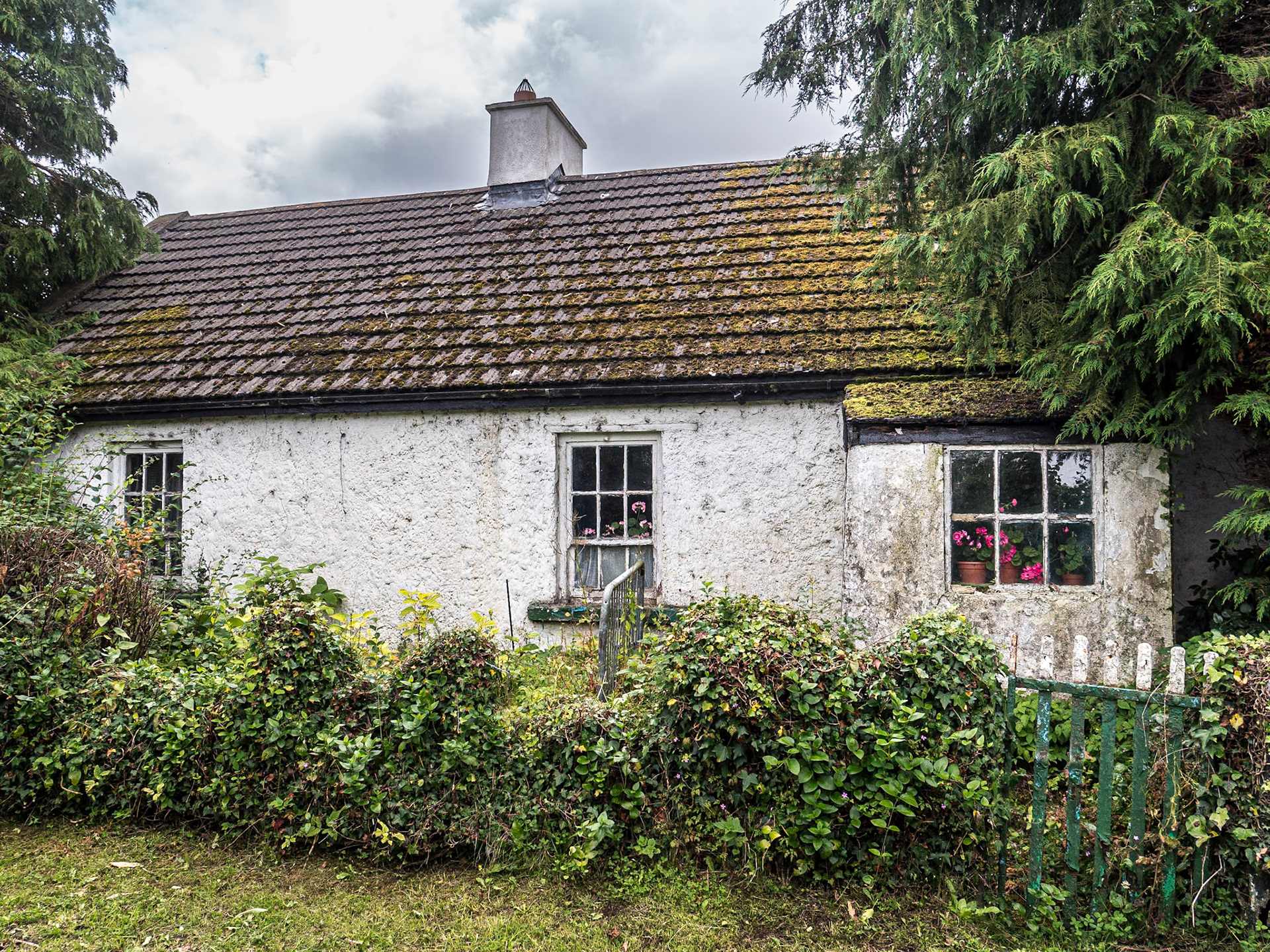 Near Portarlington, Co Laois, 27 Jul 2023