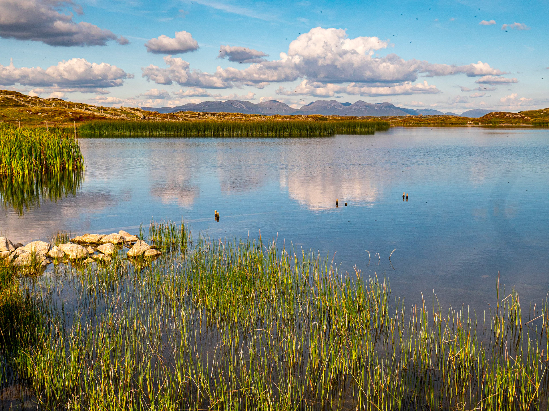 Aillebrack Lough, Errismore Peninsula, Co Galway, 30 Aug 2022