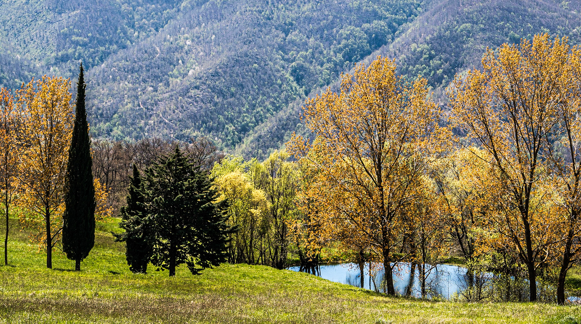 Col di Morro, Tuscany, 20 Apr 2015