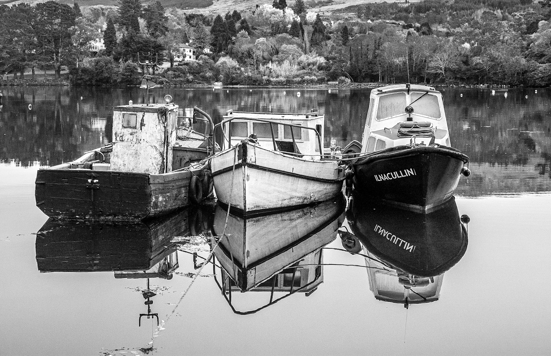 Glengarriff Harbour, Co Cork, 19 Nov 2016