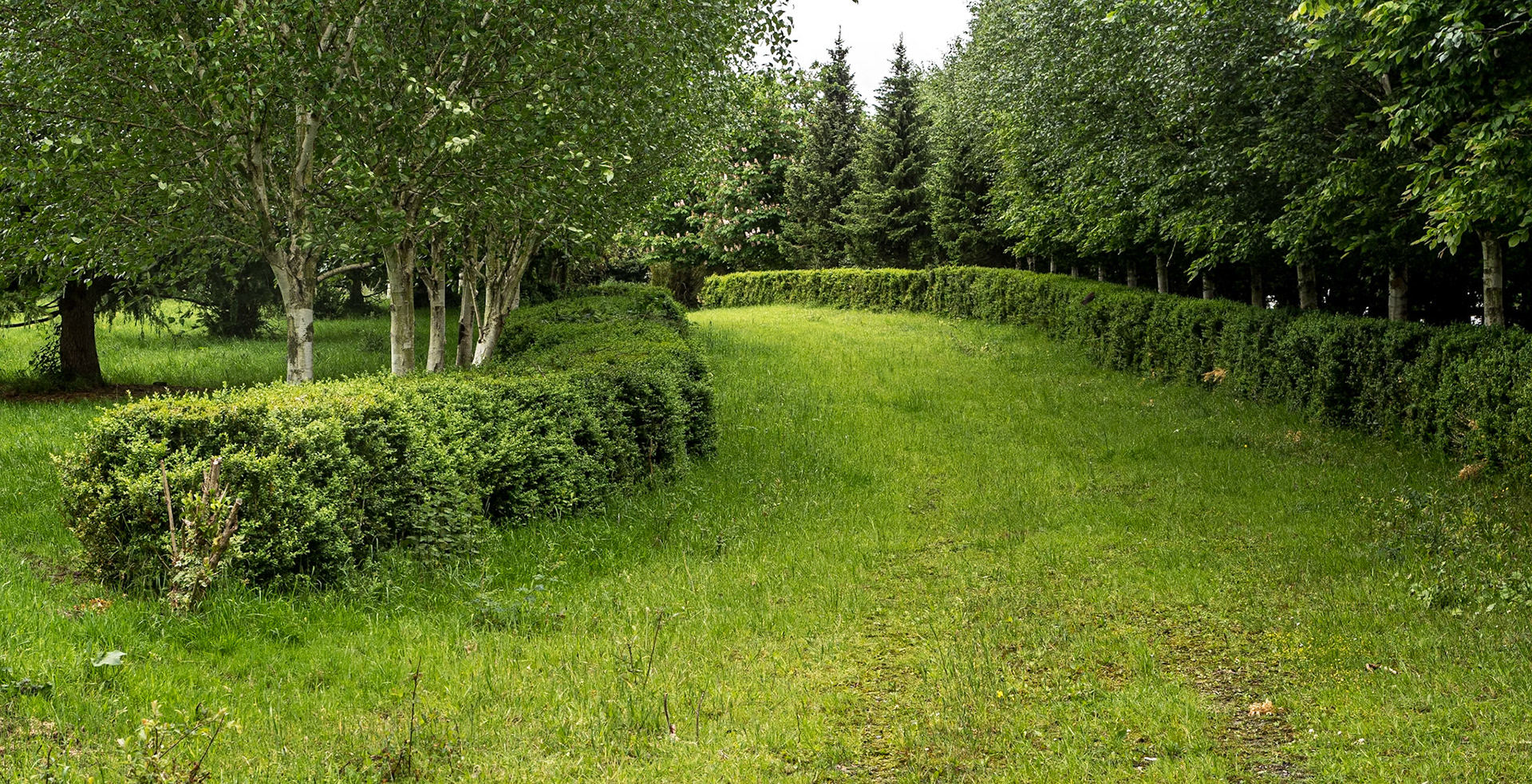 By the Grand Canal near the Leinster Aqueduct, Co Kildare, 22 May 2024
