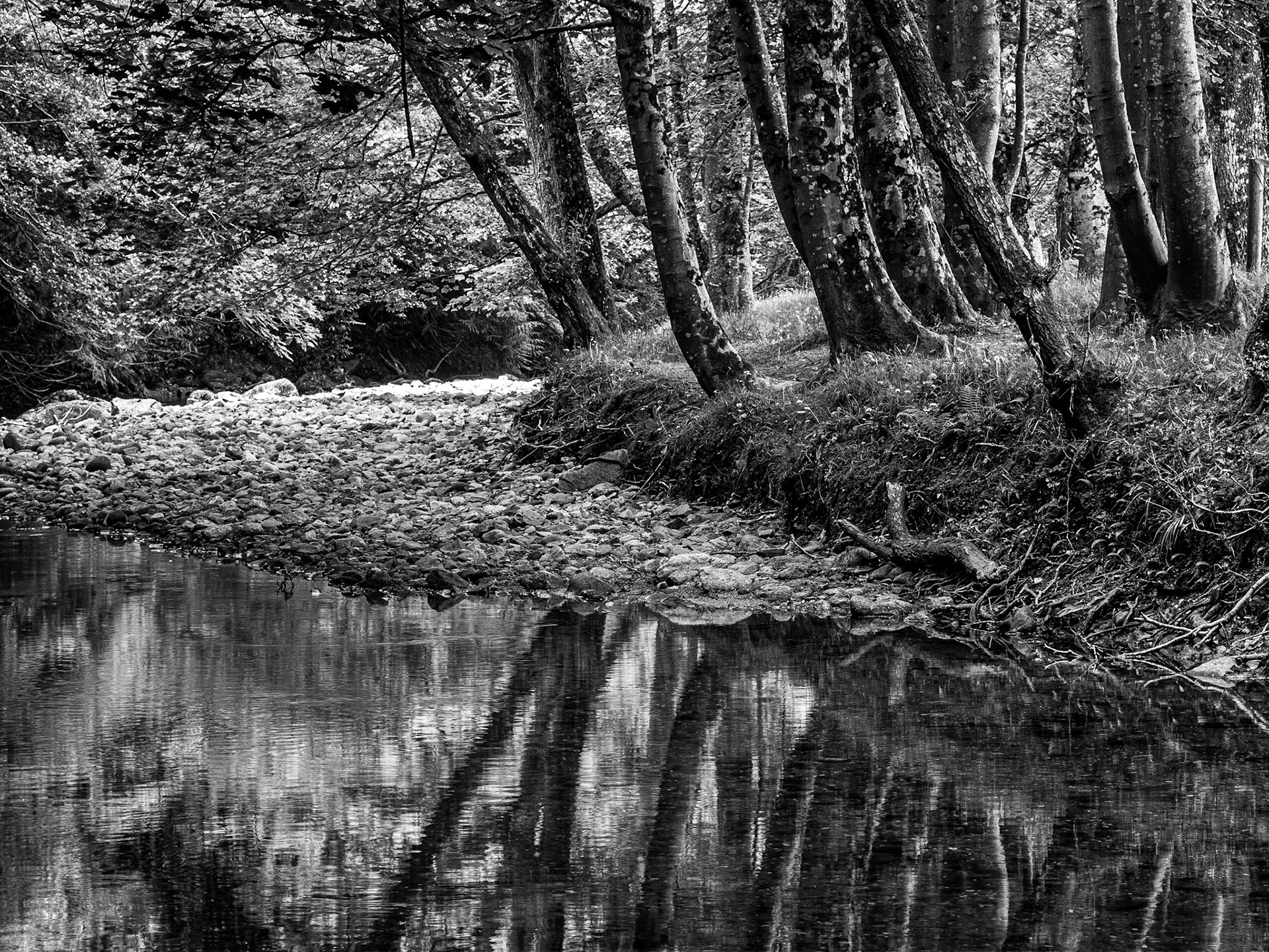 Powerscourt estate, Co Wicklow, 16 Jun 2015
