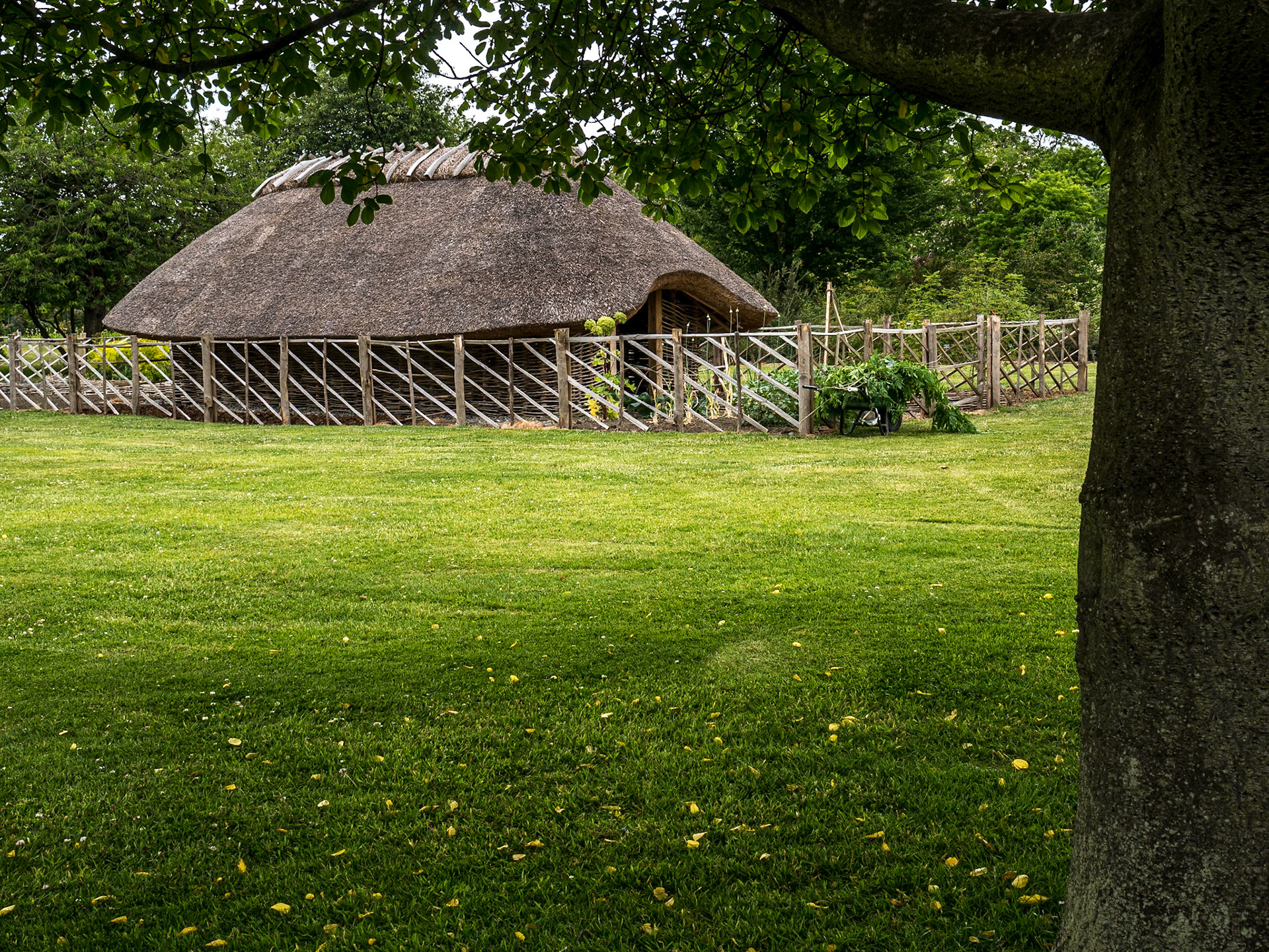 Botanic gardens, Dublin, 25 Jun 2015