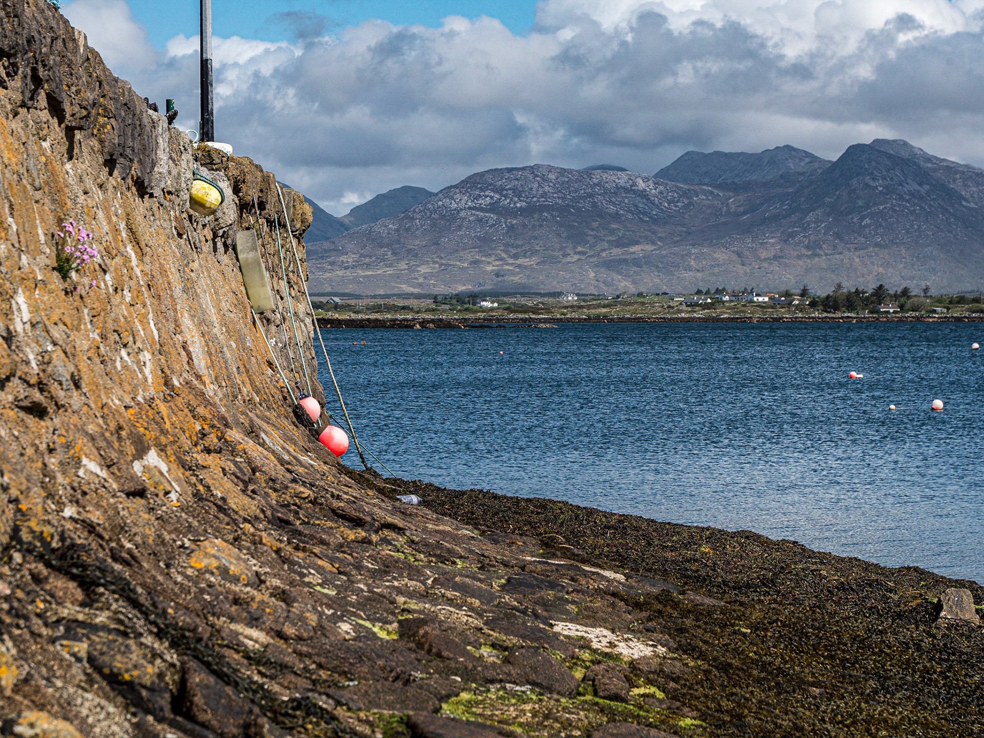 Roundstone Harbour, Co Galway, 9 May 2023