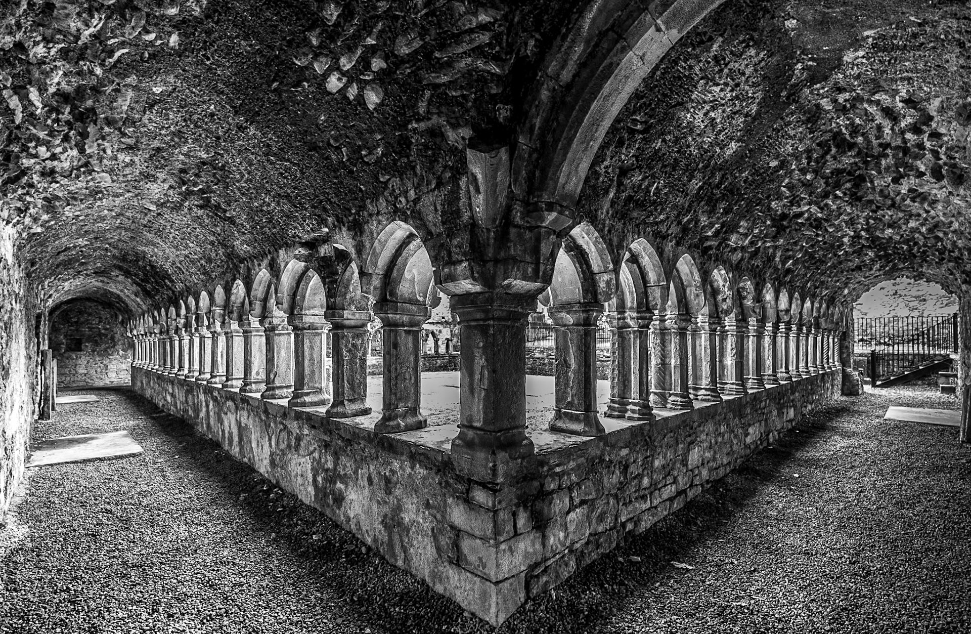 Sligo Abbey, 9 Oct 2014