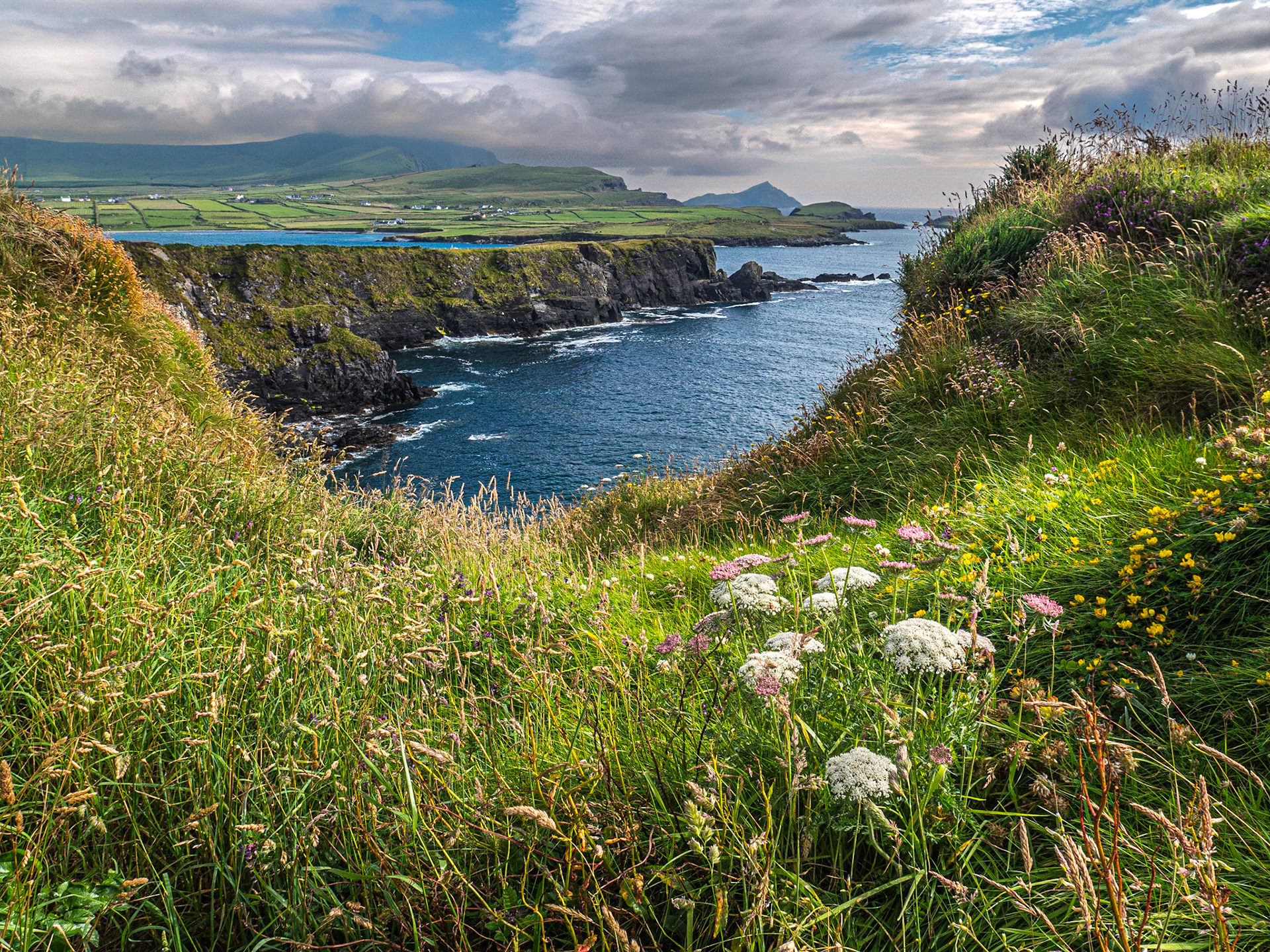 At the Telegraph Field, Valentia Island, 12 Jul 2021