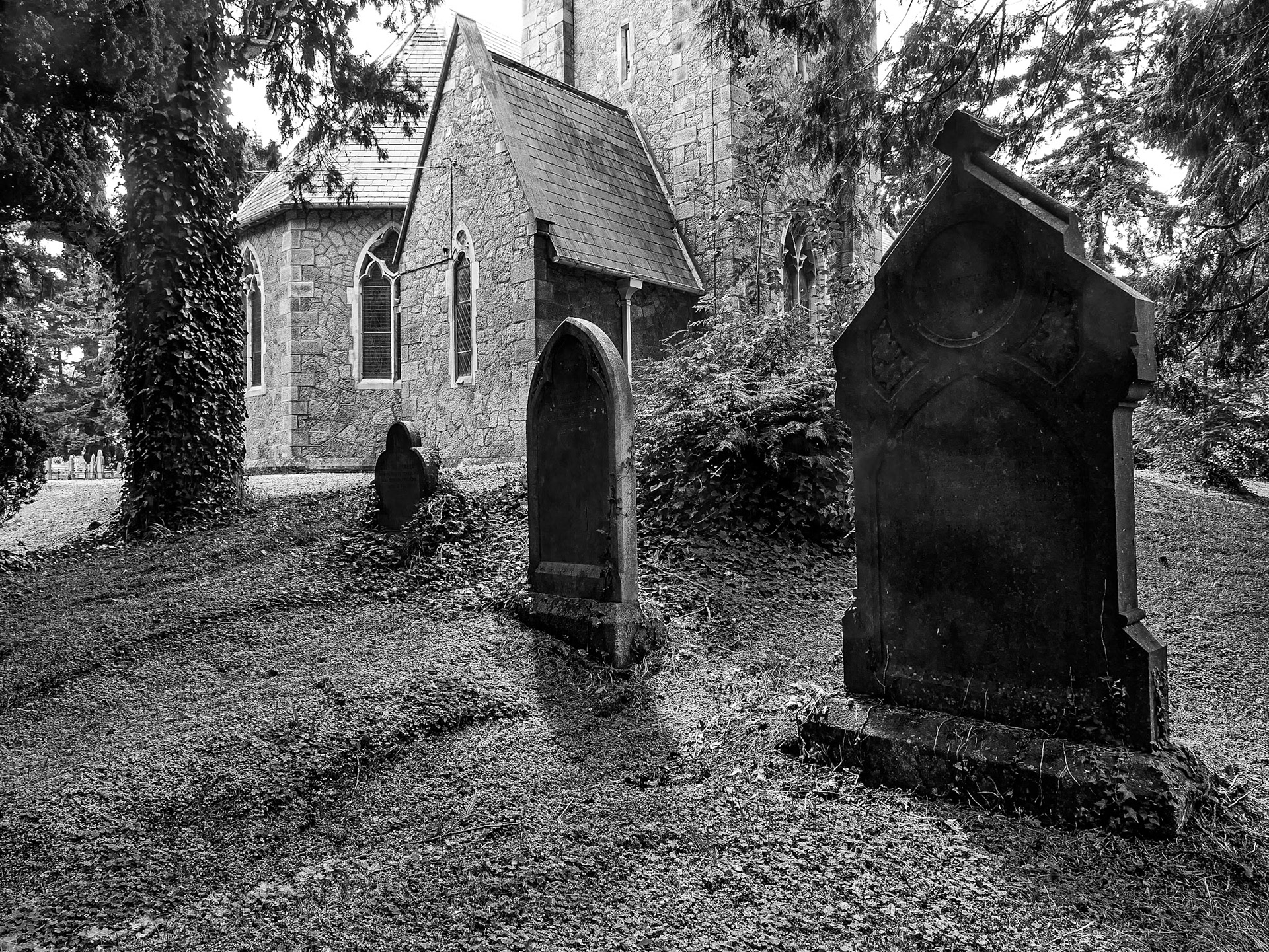 Enniskerry graveyard, Co Wicklow, 29 Jul 2015