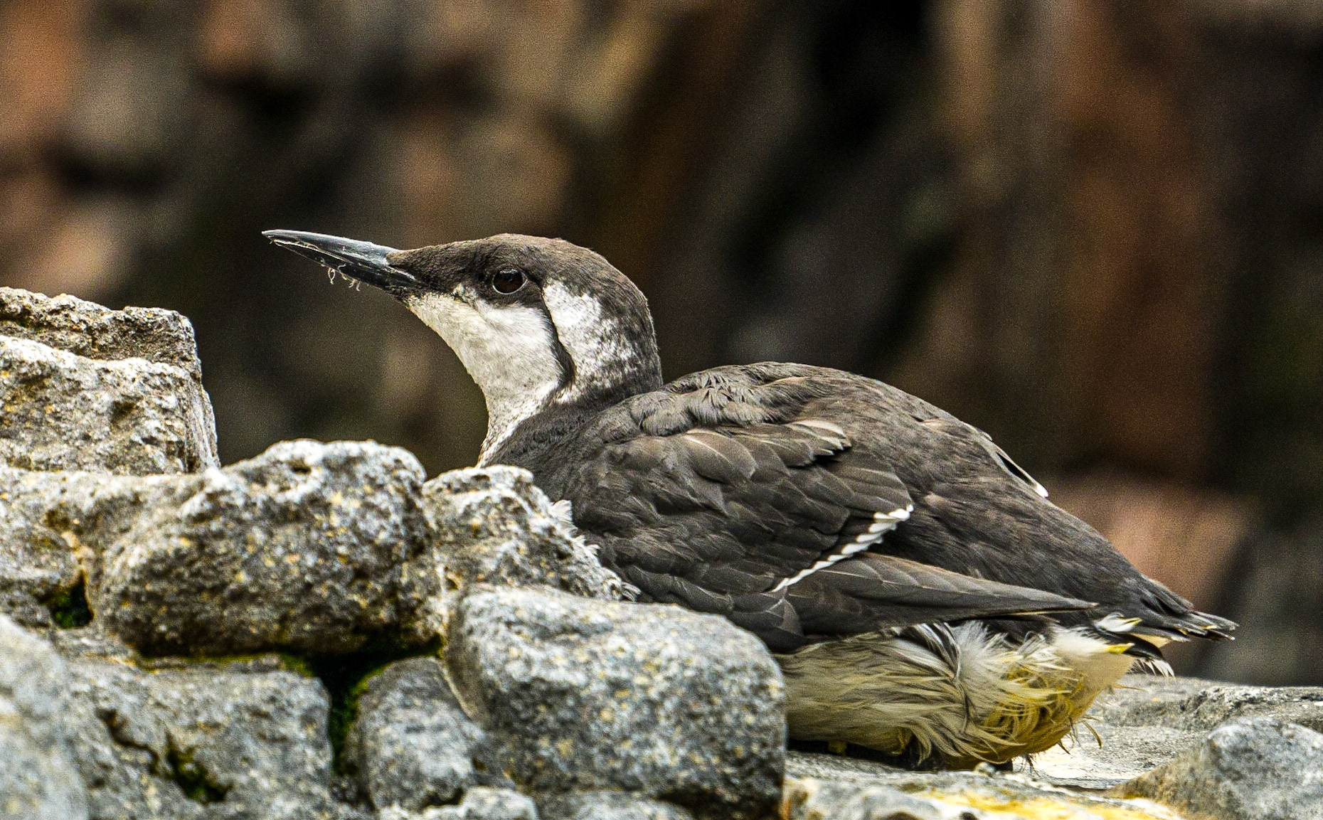 Oceanaria, Lisbon, 7 Sep 2015