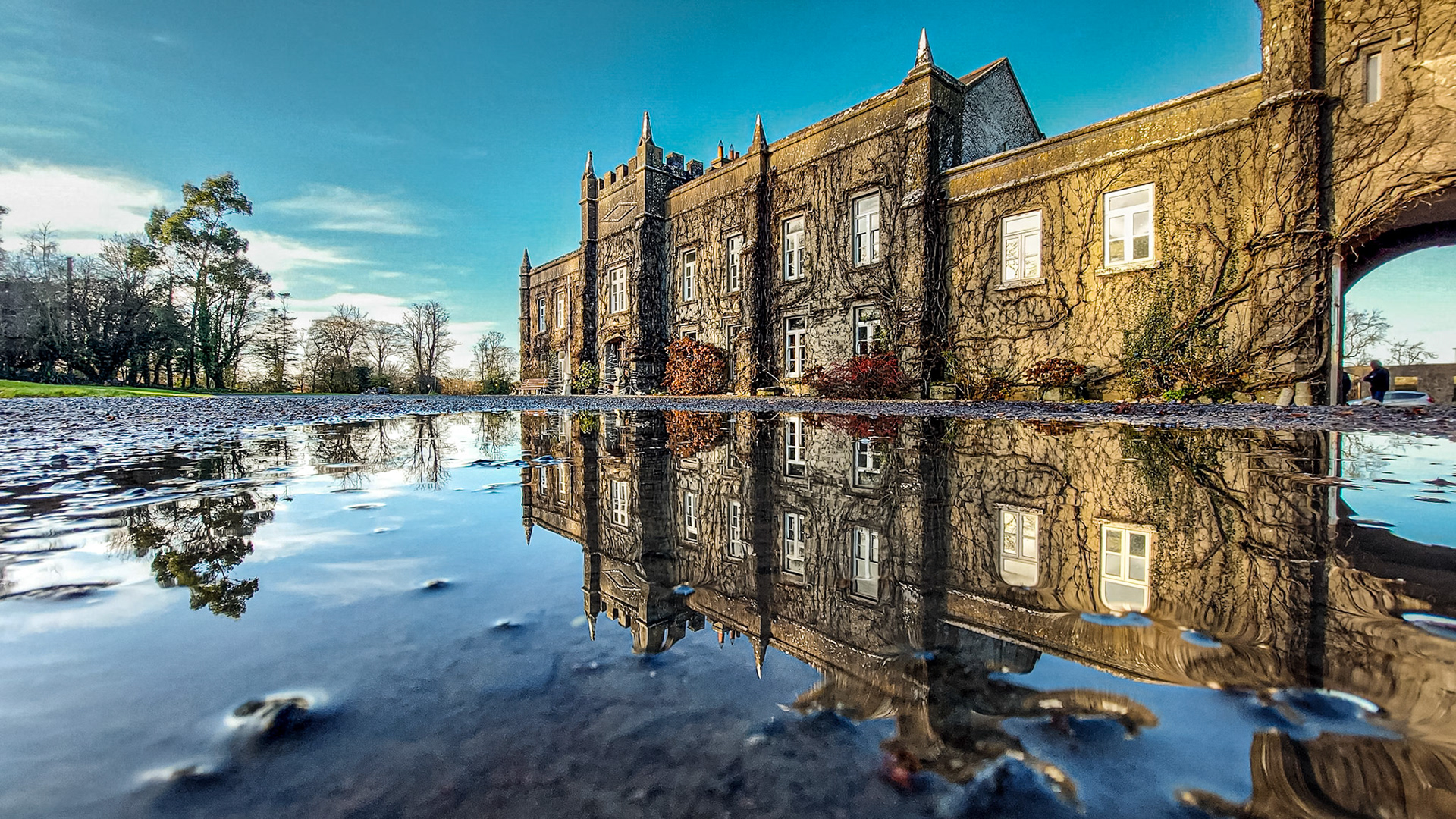 Springfield Castle, Co Limerick, 17 Dec 2022