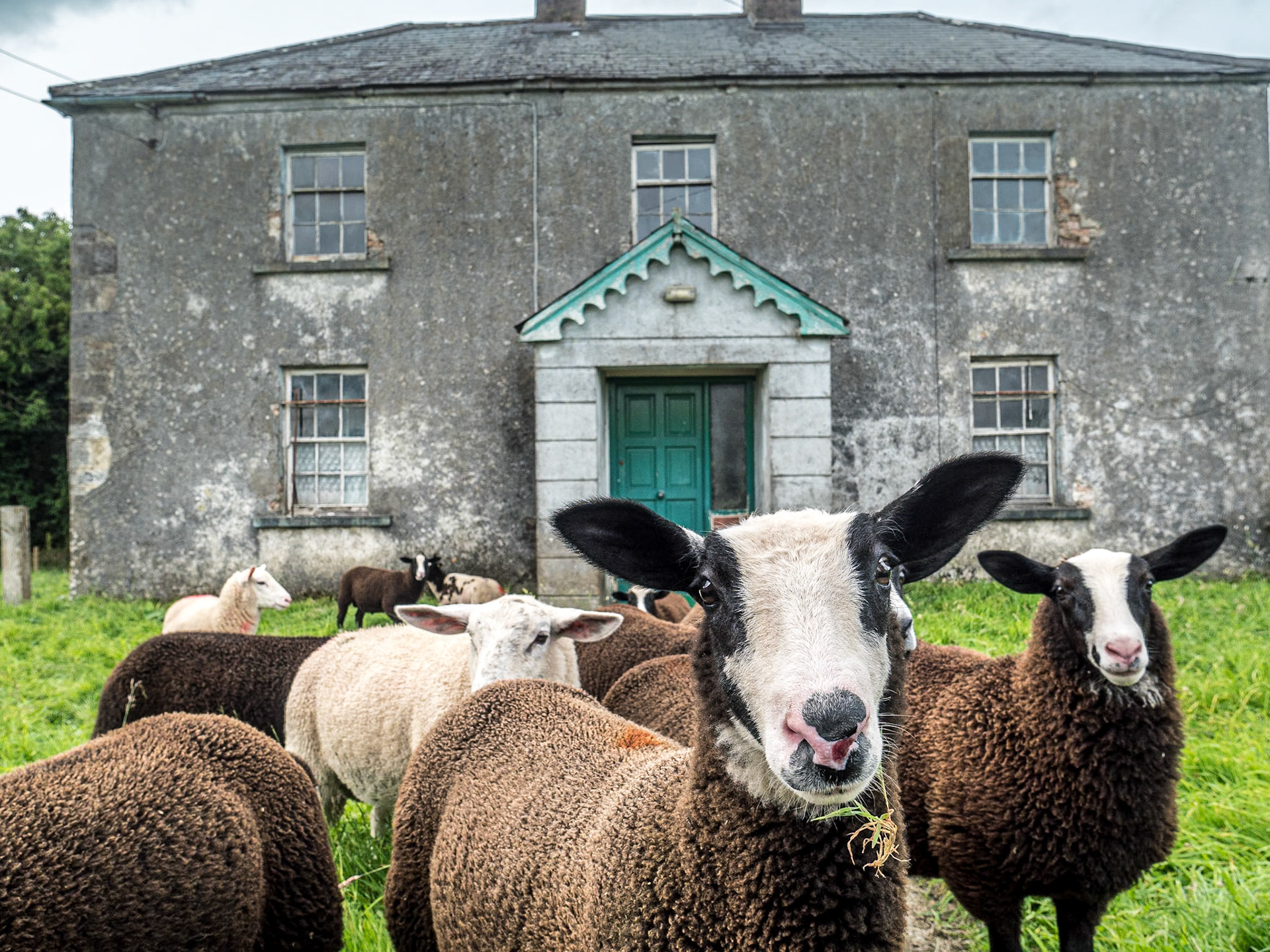 On L5209. NE of Keenagh, Co Longford, 8 Aug 2019