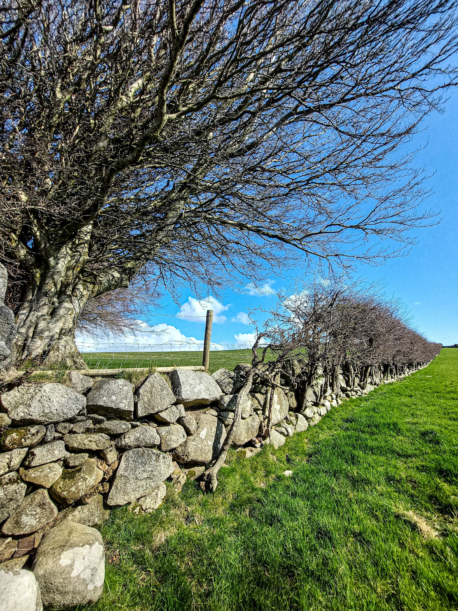 Near Glencullen, Co Dublin, 31 Mar 2022