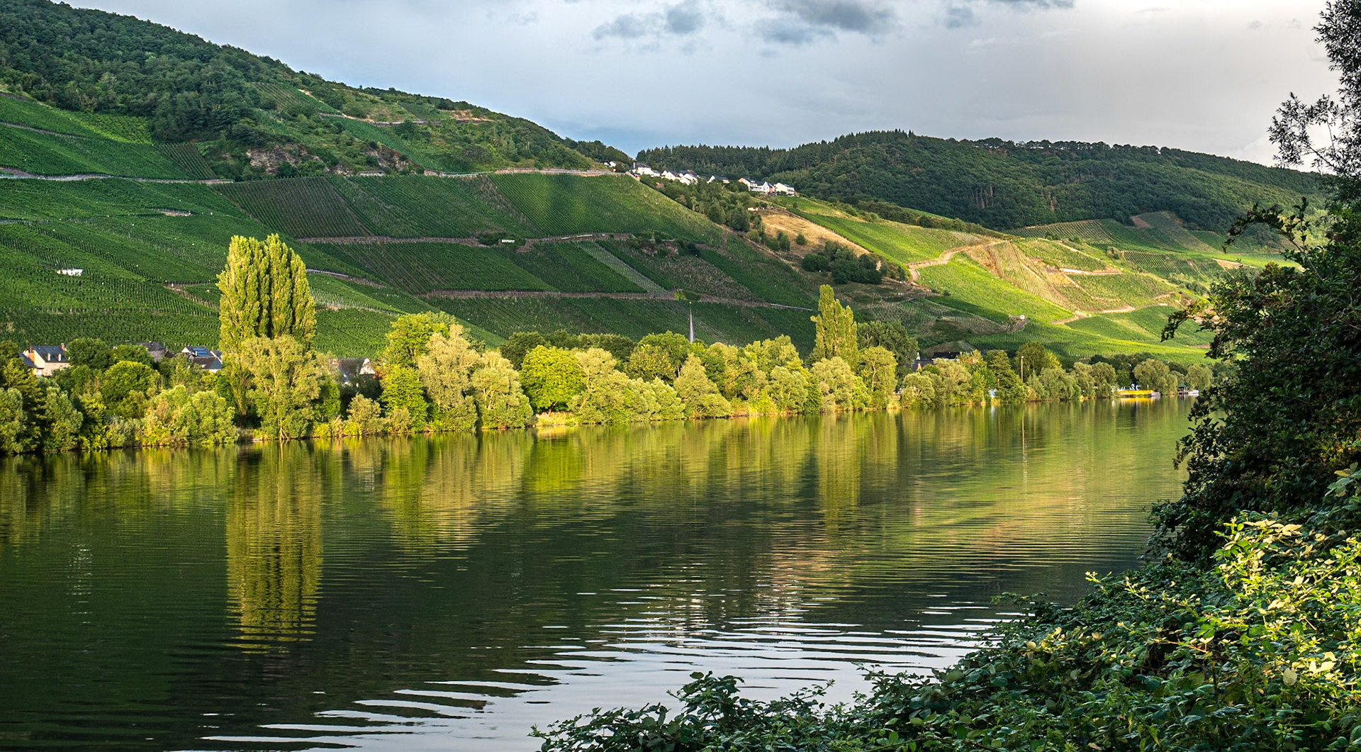 Views across the river from MoselCamping Bernkastel, Germany, 21 Jul 2025