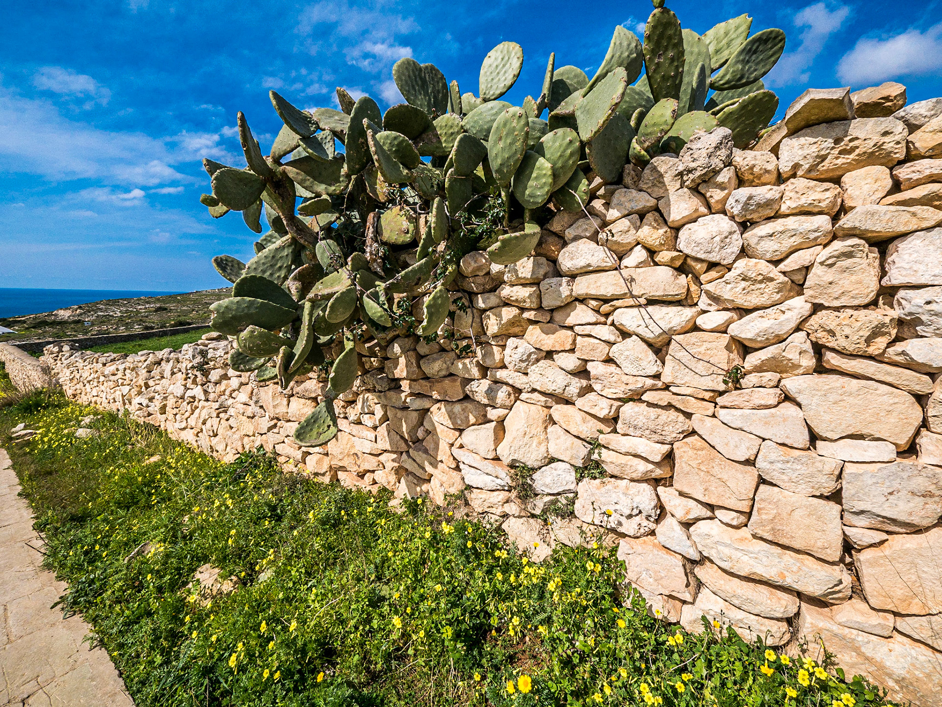 Walking back  from the Mnajdra temple, Malta, 20 Feb 2015