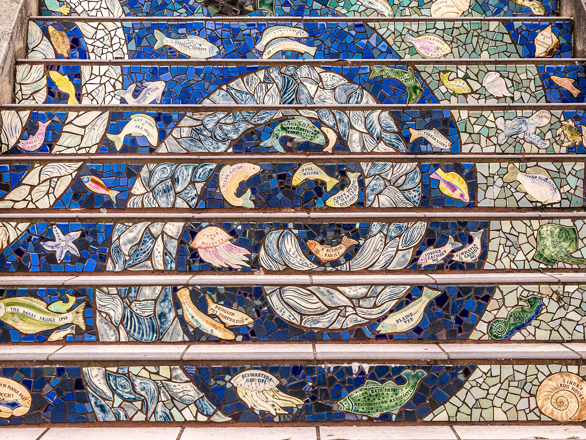 16th Avenue Tiled Steps, San Francisco, 3 Feb 2024