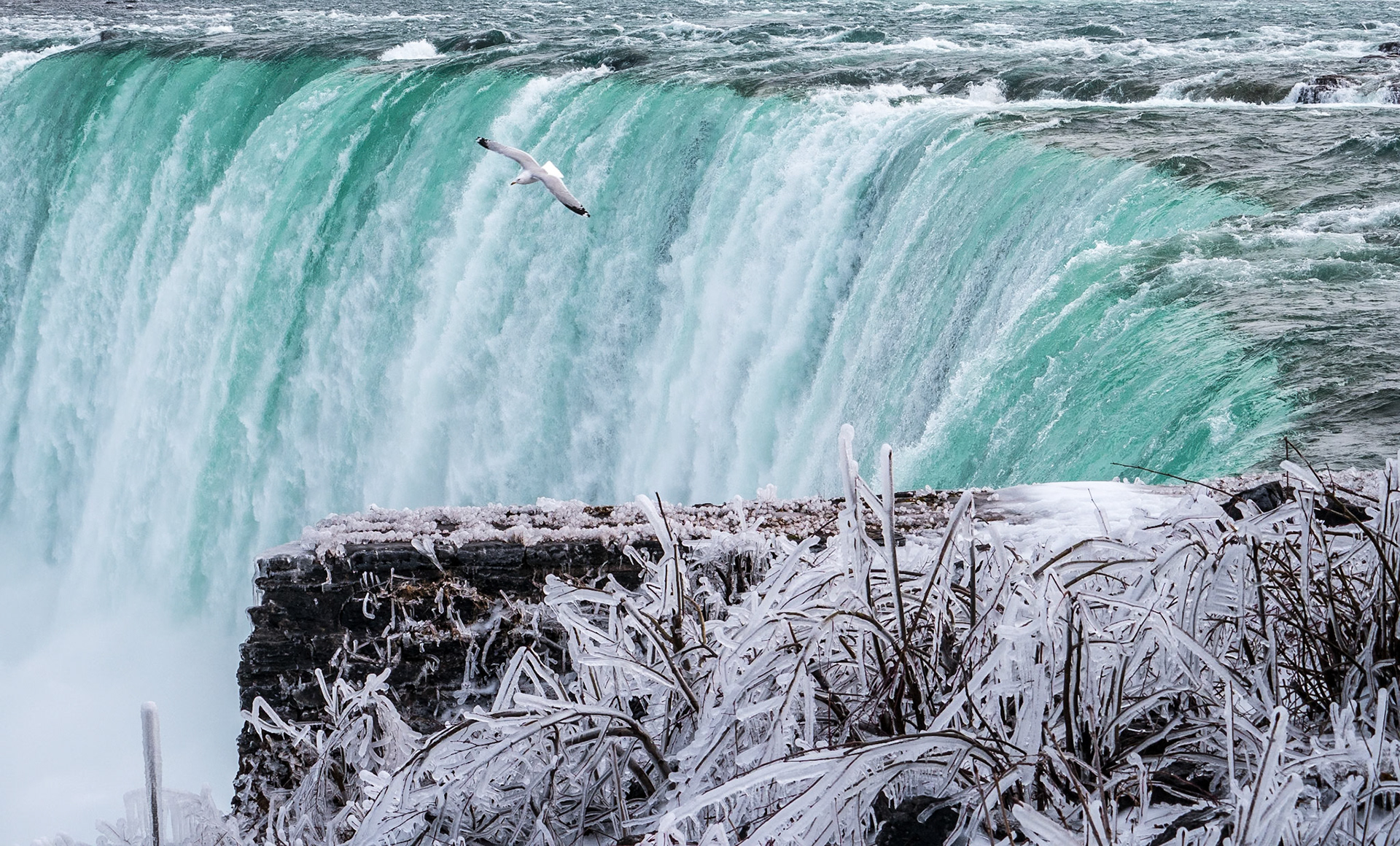 Horseshoe Falls, Niagara, 7 Mar 2018