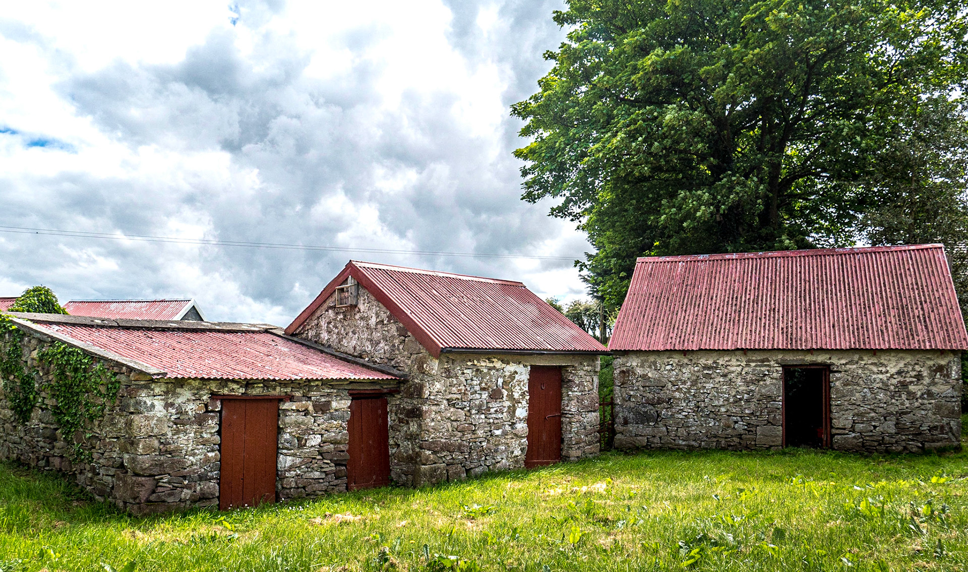 Near Bohola, Co Mayo, 19 May 2019