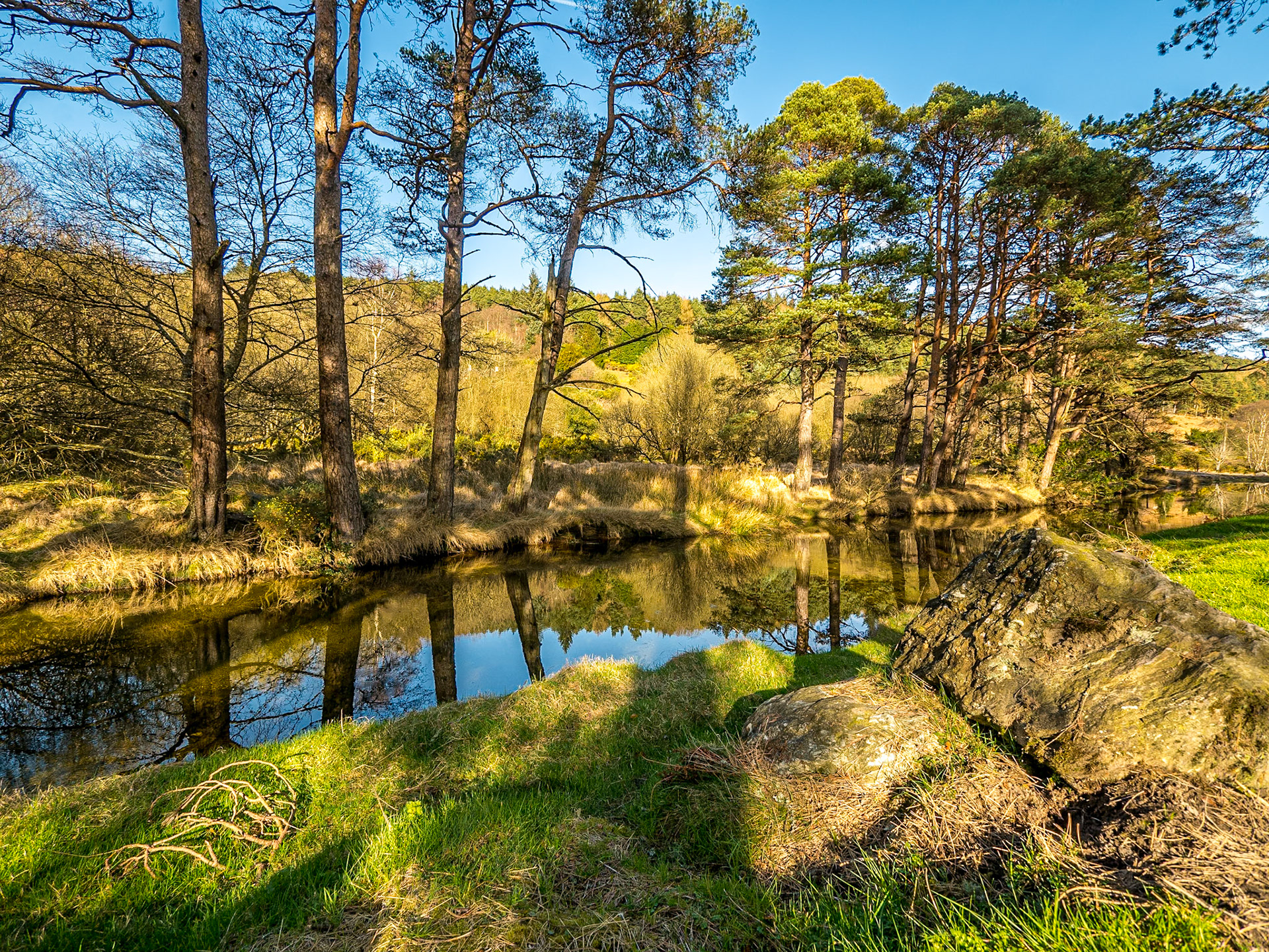 St Kevin's Way, Glendalough, 15 Mar 2017