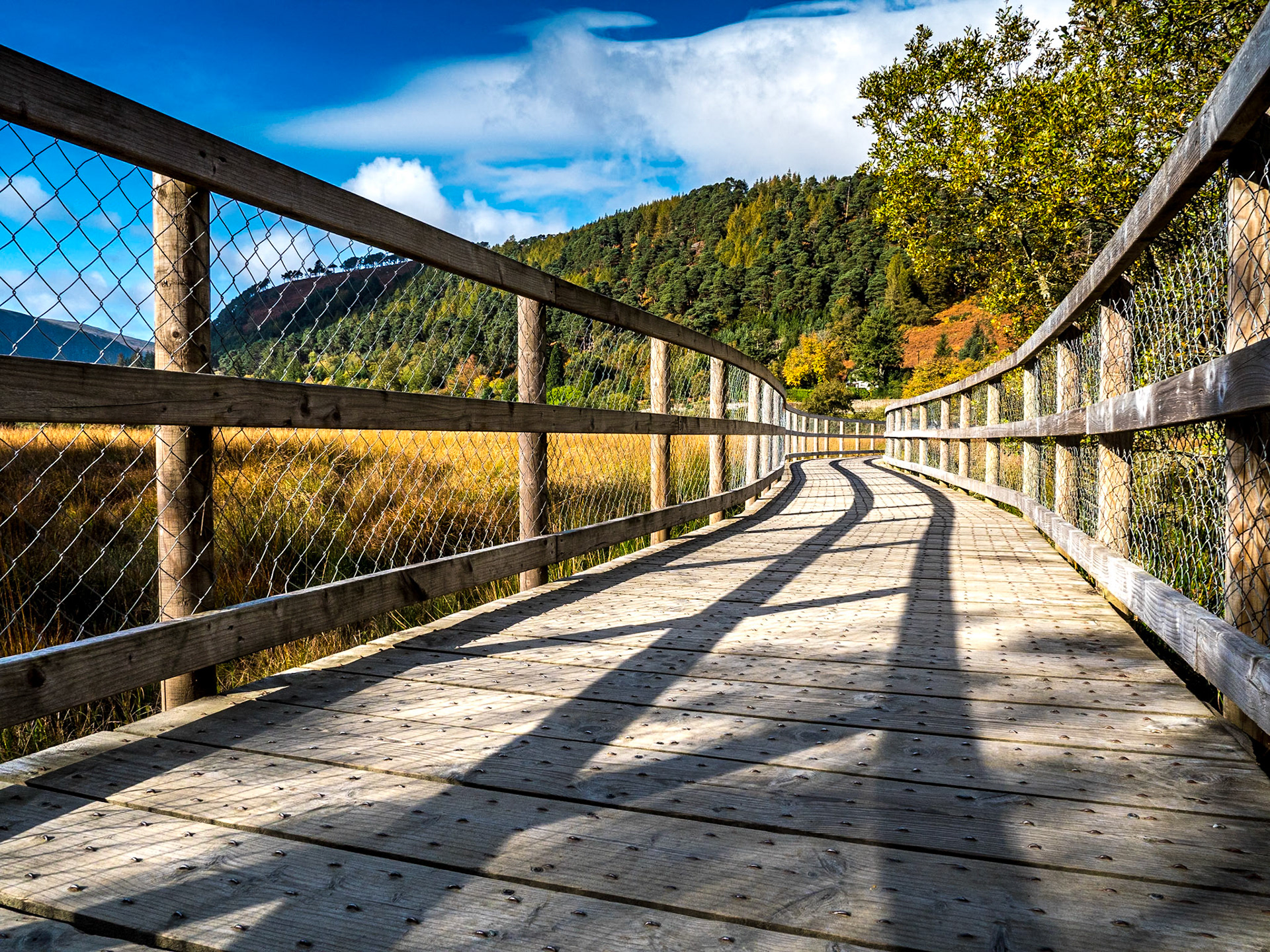Glendalough Walk (Orange Route), Co Wicklow, 22 Oct 2018
